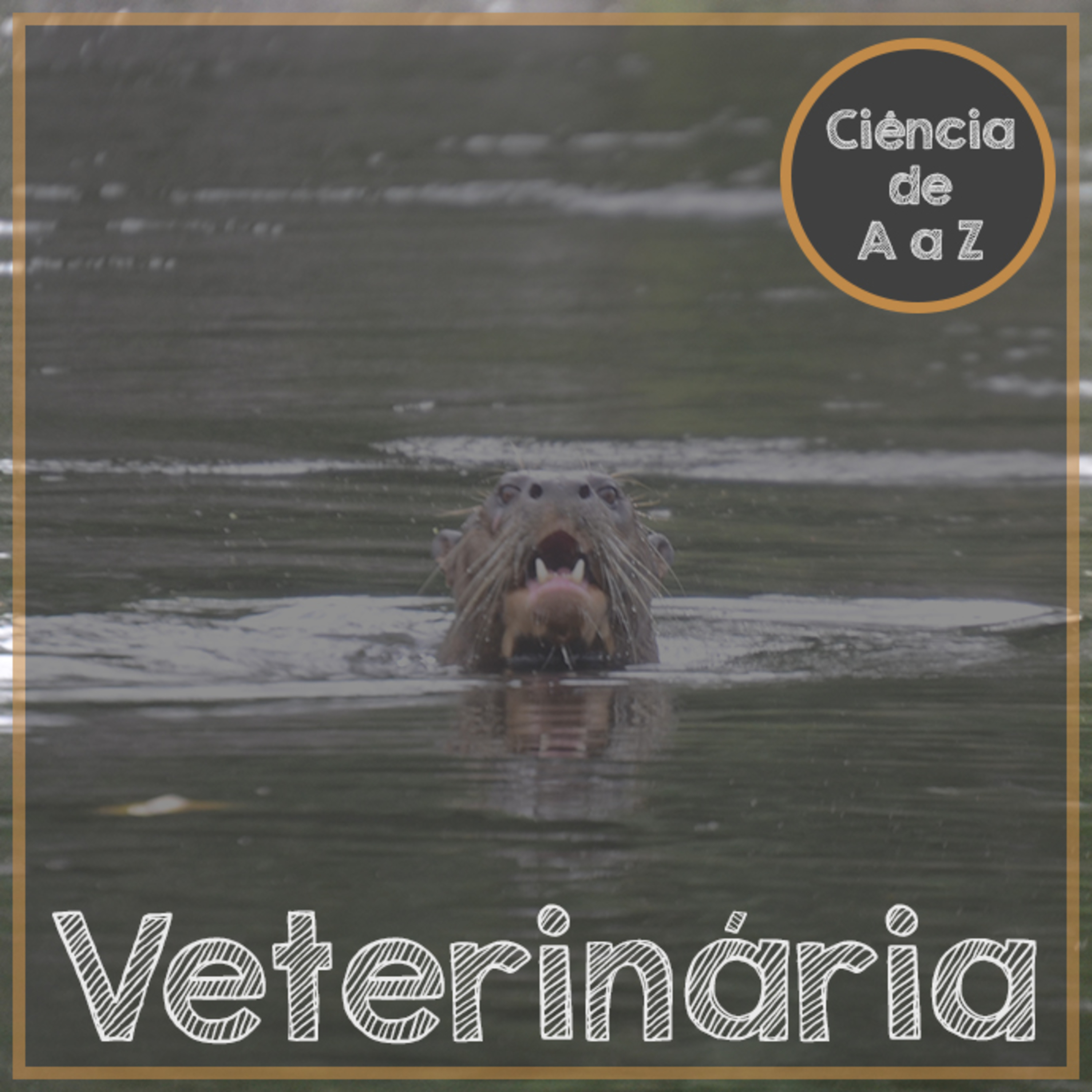 Ciência de A a Z