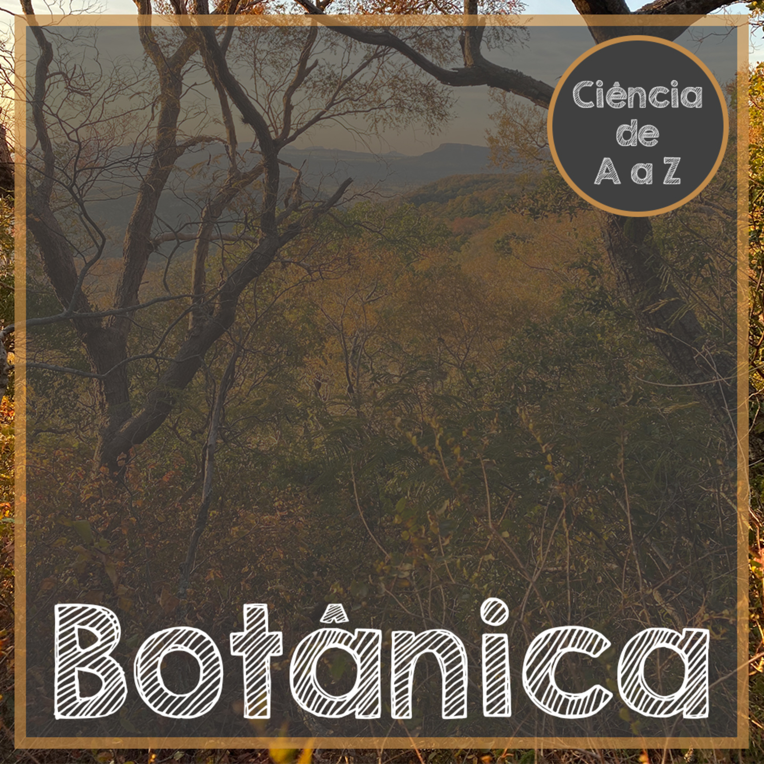 Ciência de A a Z