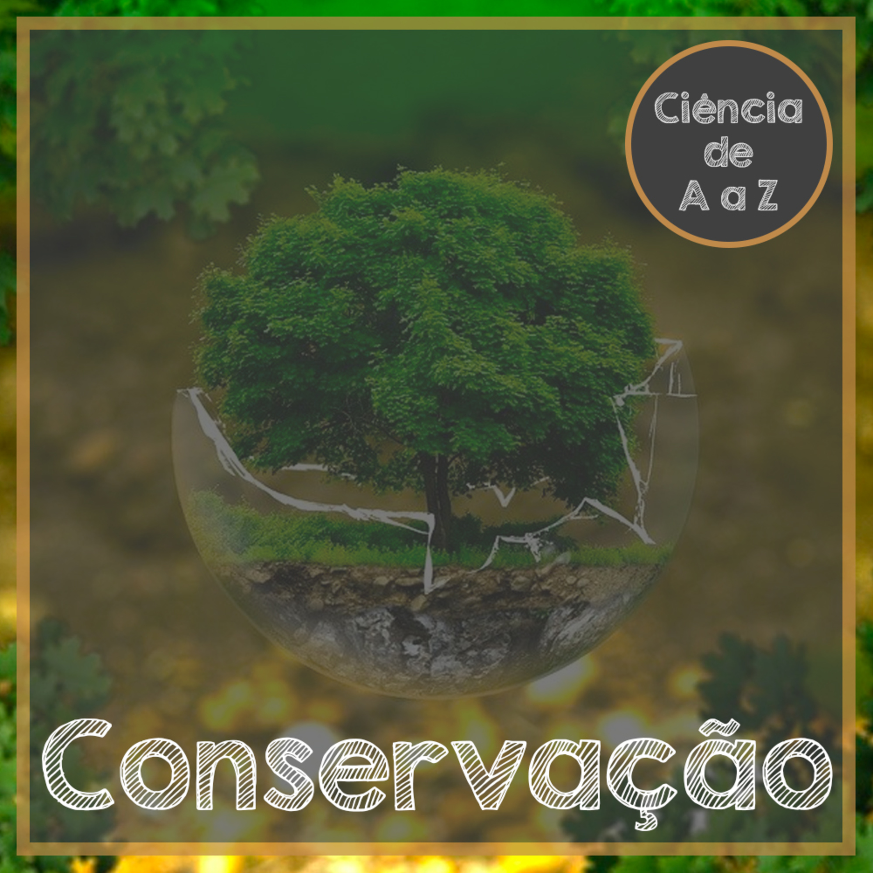 Ciência de A a Z