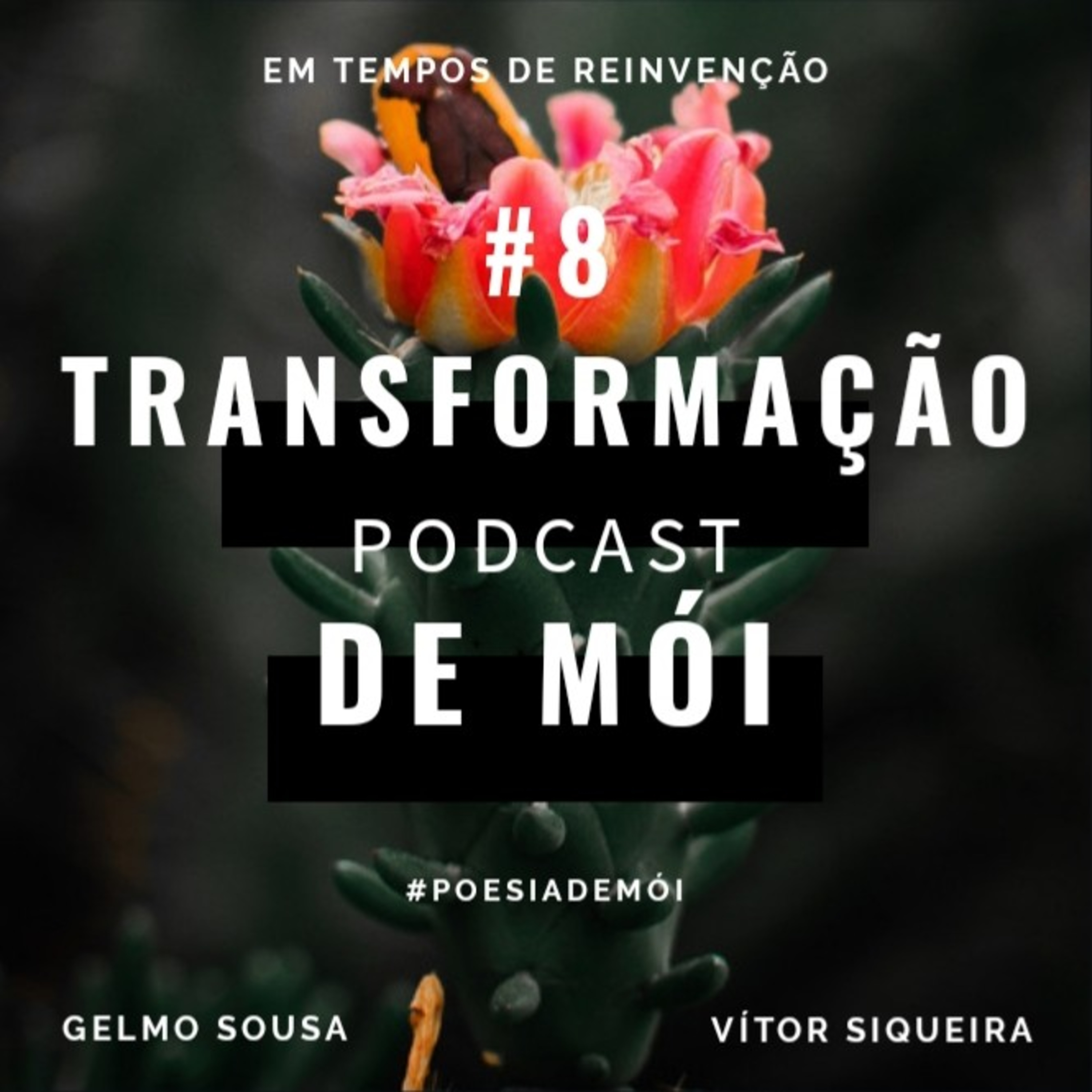 #PoesiaDeMói
