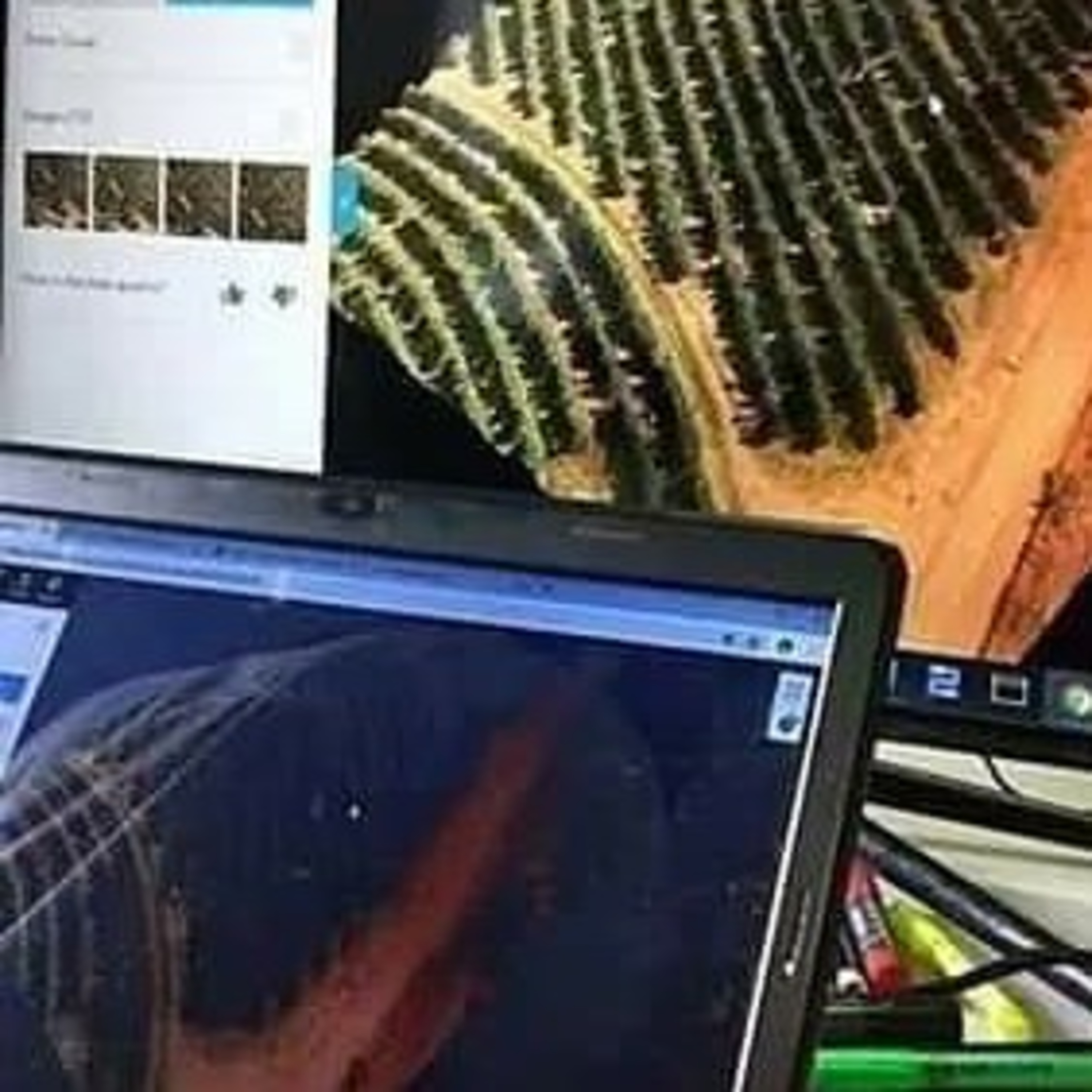ANÁLISE da Declividade do Terreiro de Café a partir de Imagens de Drone episode artwork