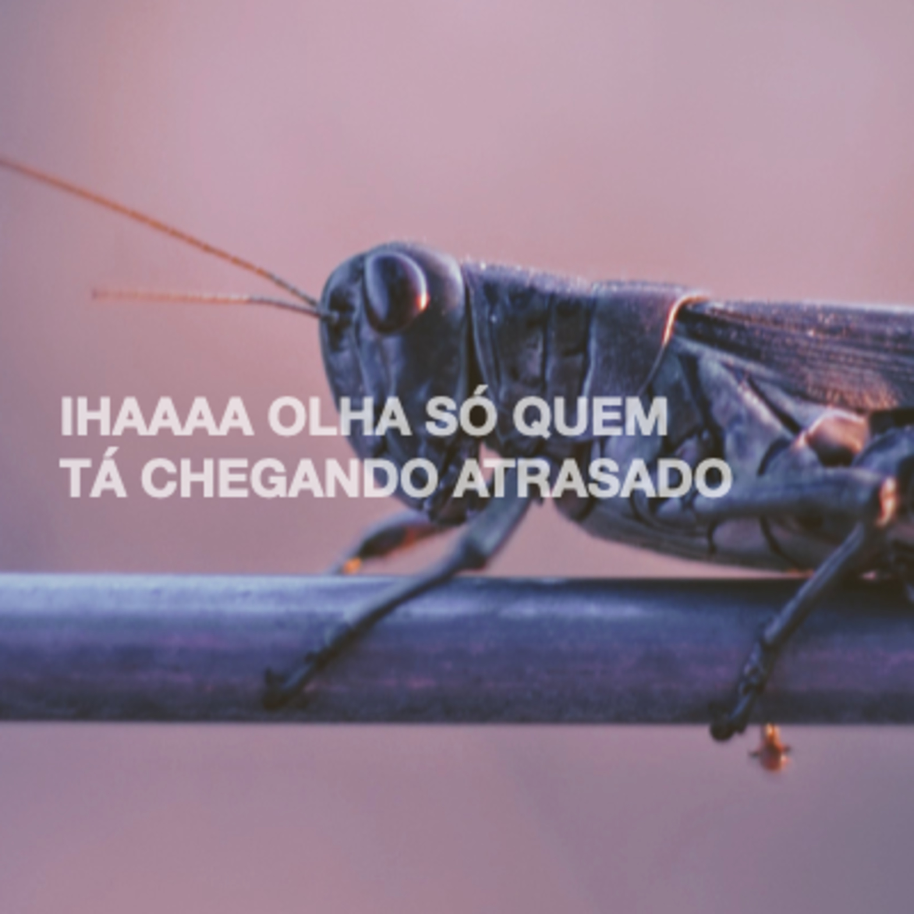 Falando Sem Propriedade