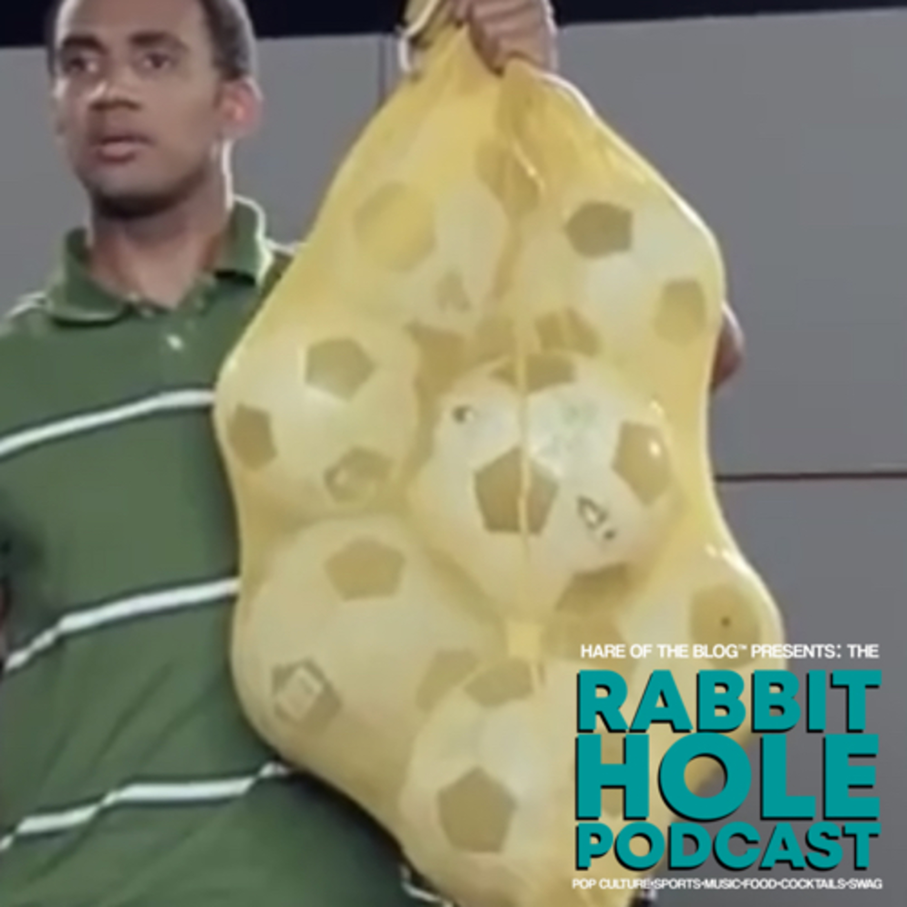 Hare Of The Blog™ Presents: The Rabbit Hole Podcast - Episode 52 (Recorded on August 30th, 2021) episode artwork