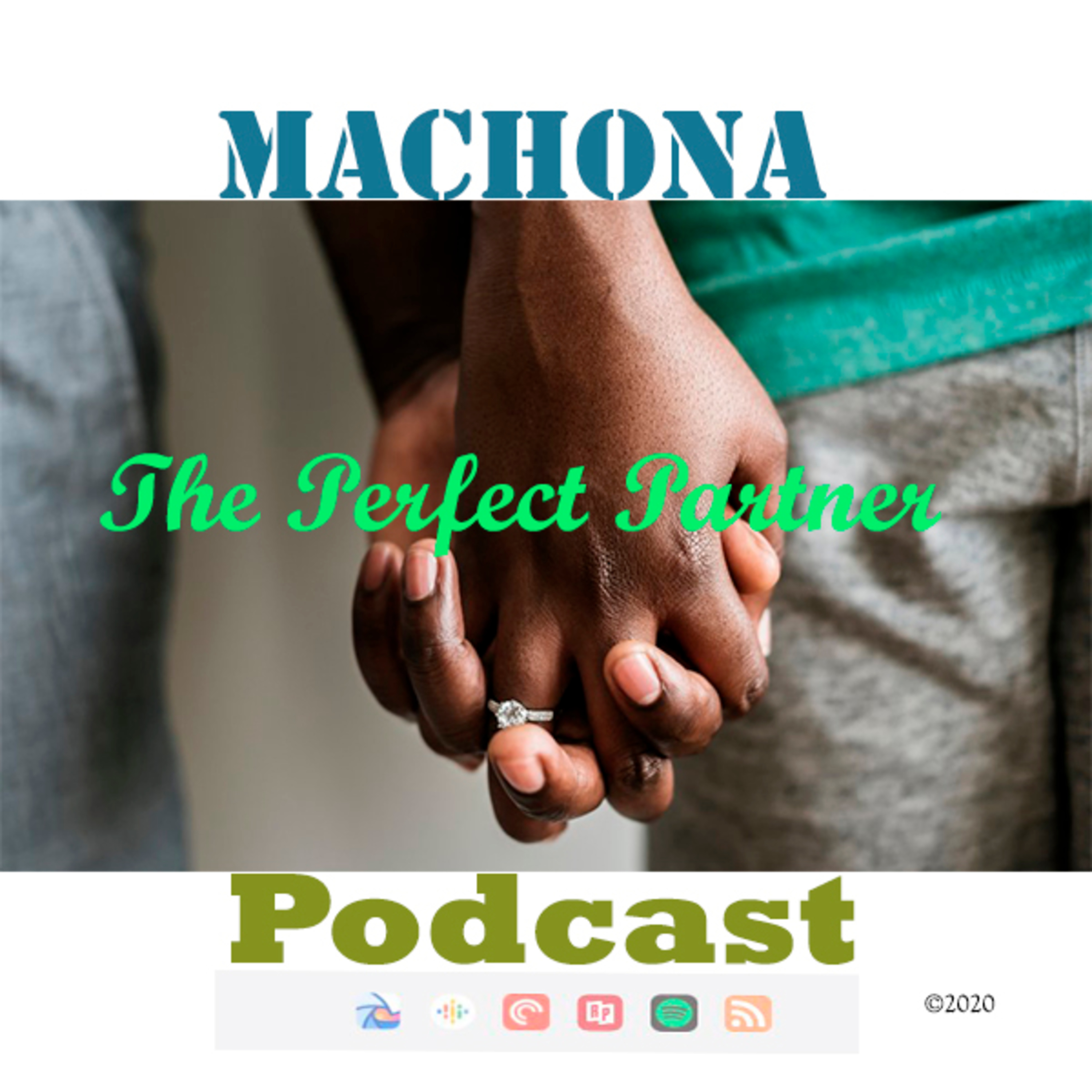 The Perfect Partner episode artwork