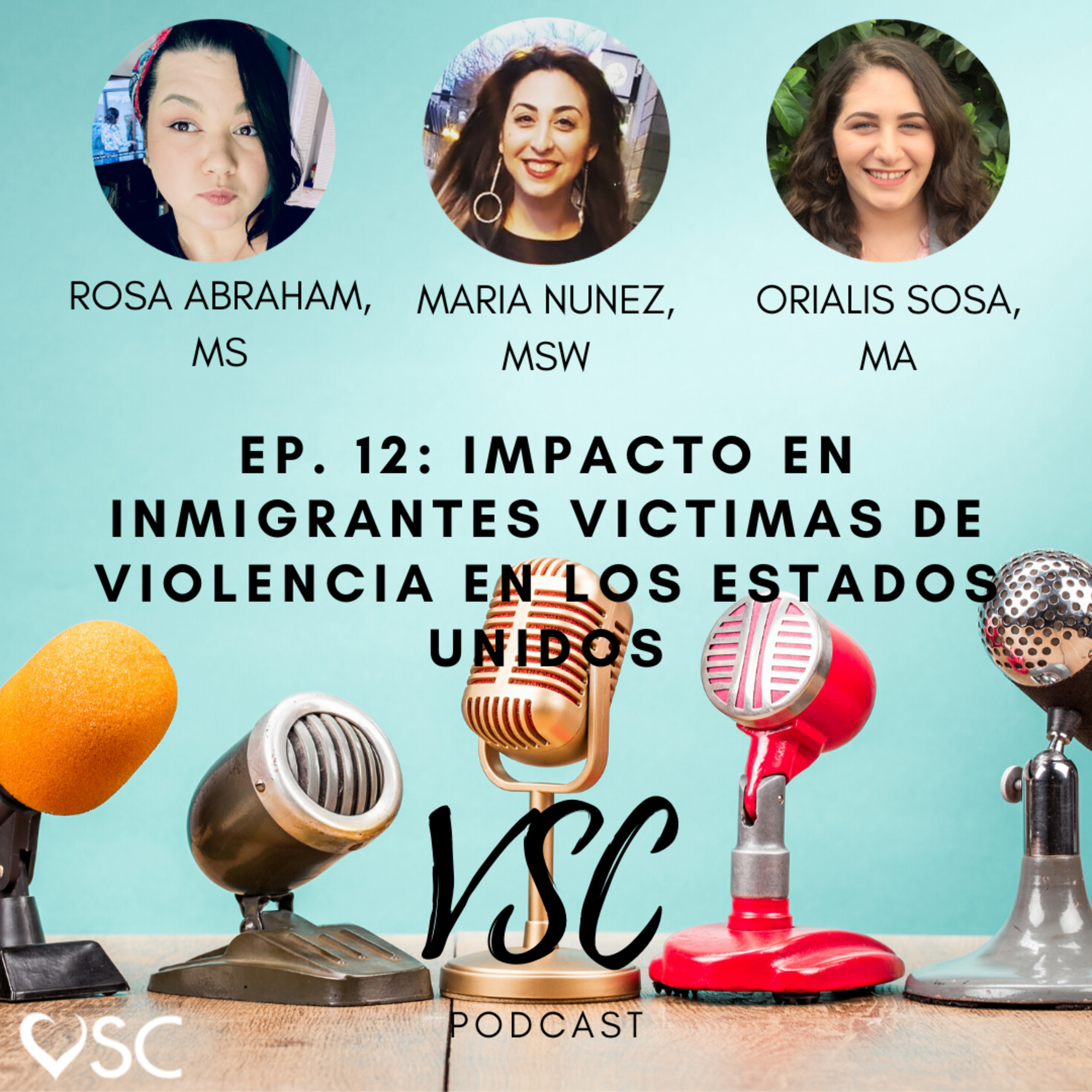 VSC Podcast