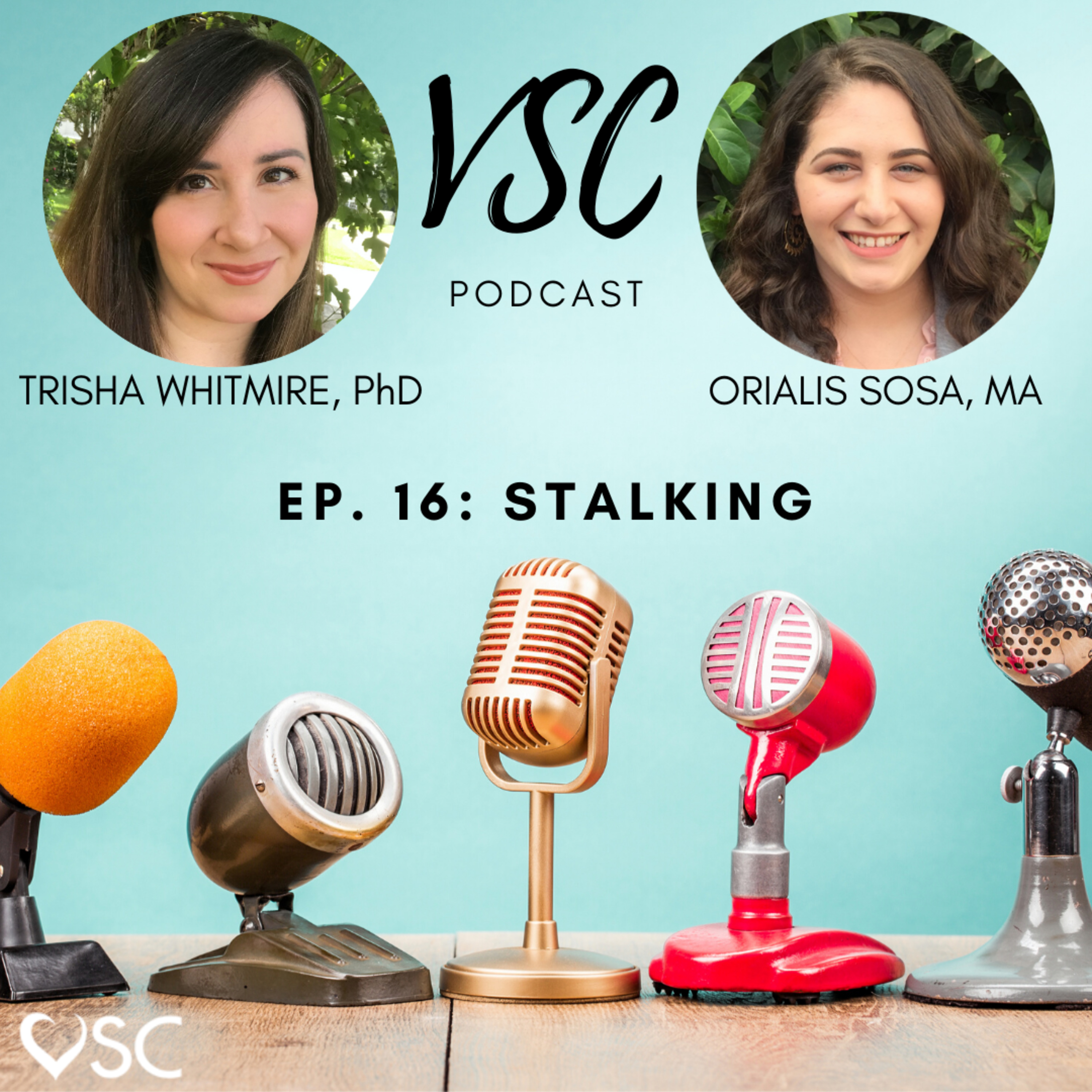 VSC Podcast Episode 16 - Stalking