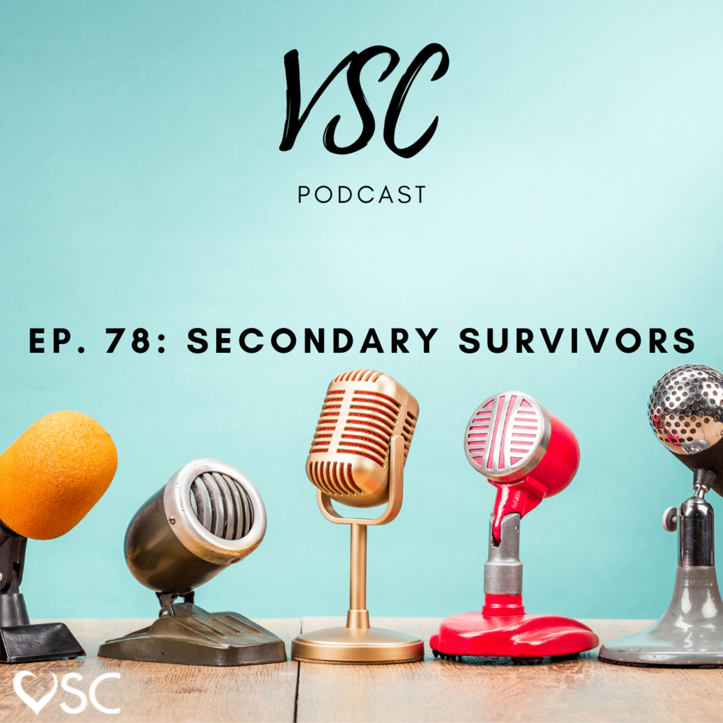 VSC Podcast