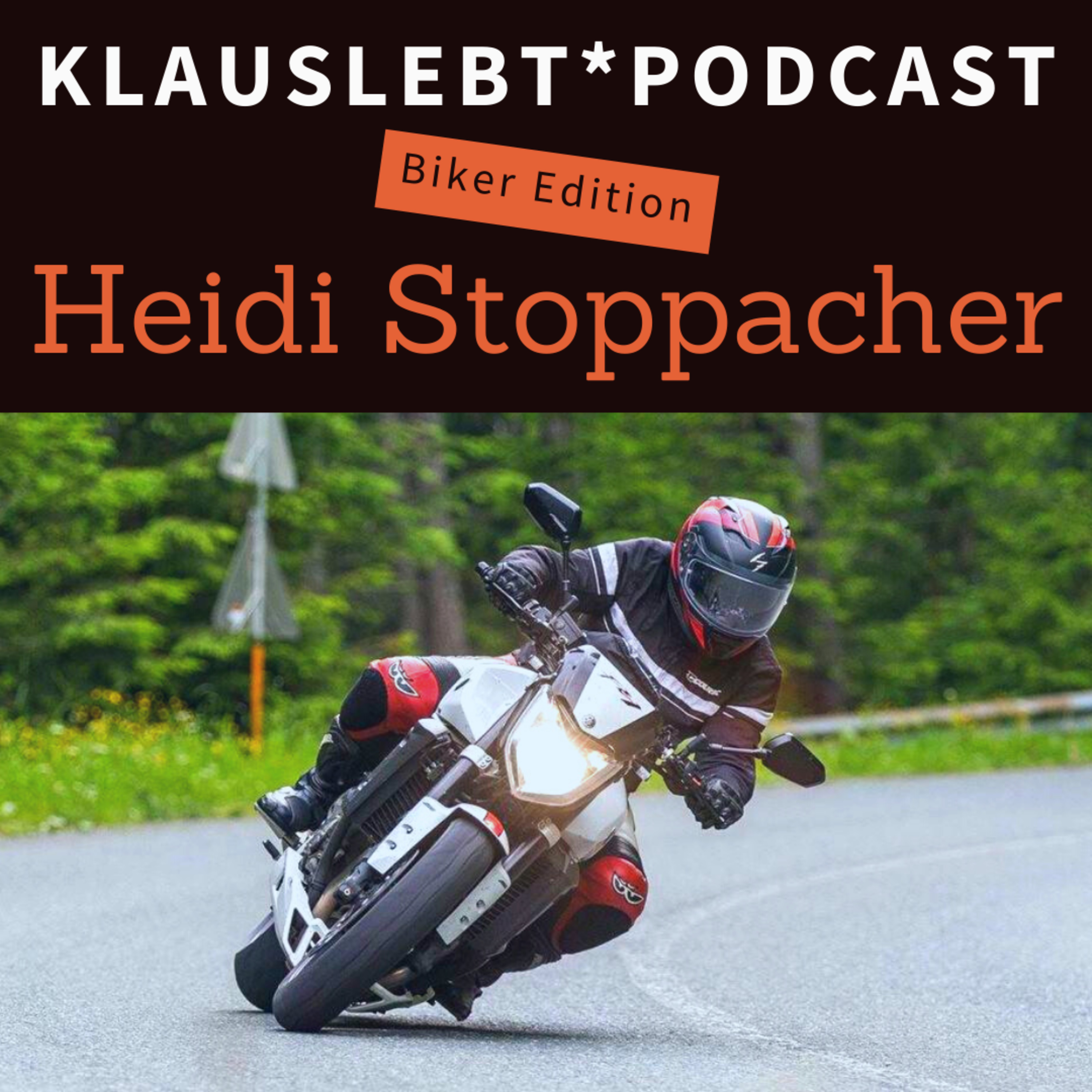 Klauslebt Audio Gig
