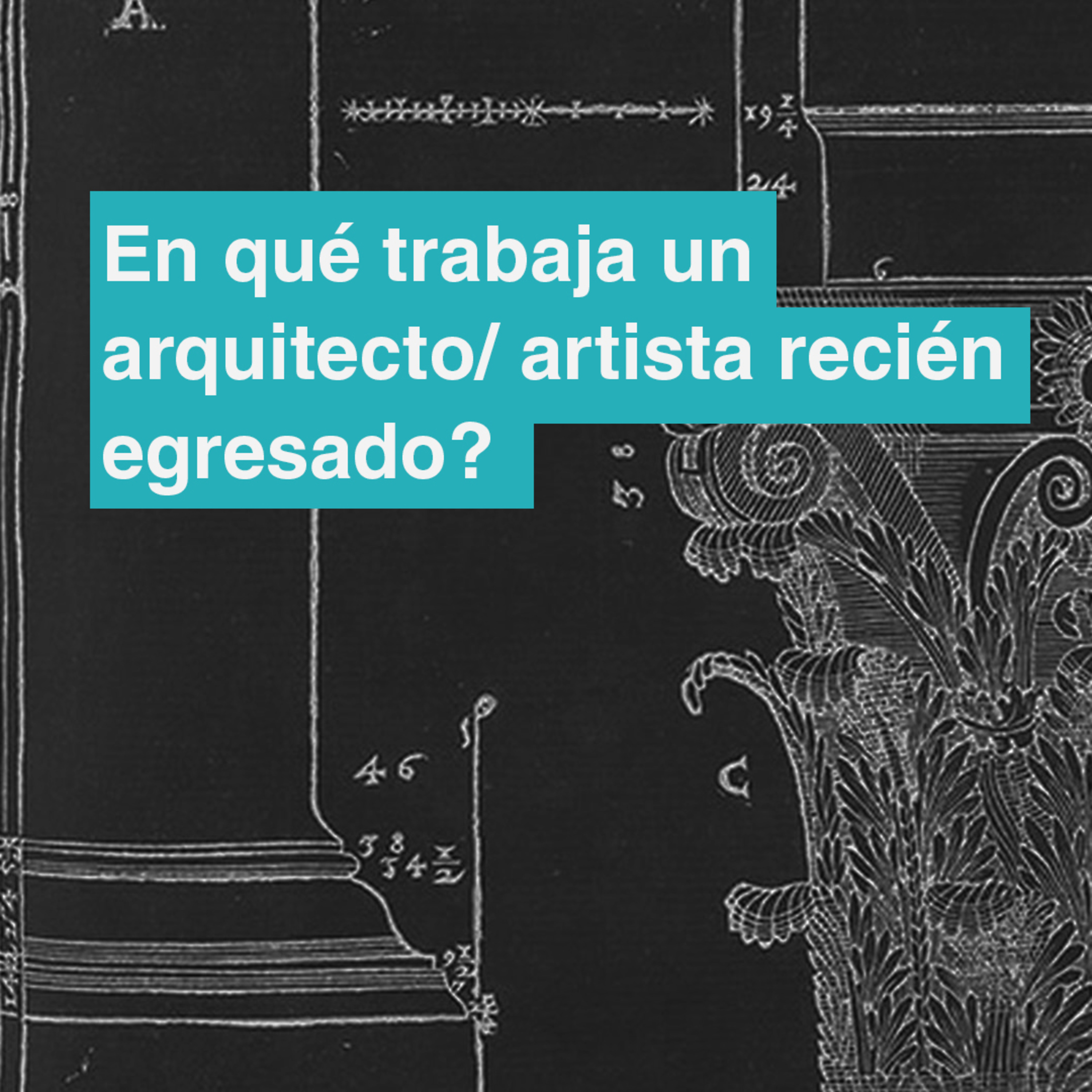 #6 En qué trabaja un arqutitecto o artista recien egresado?