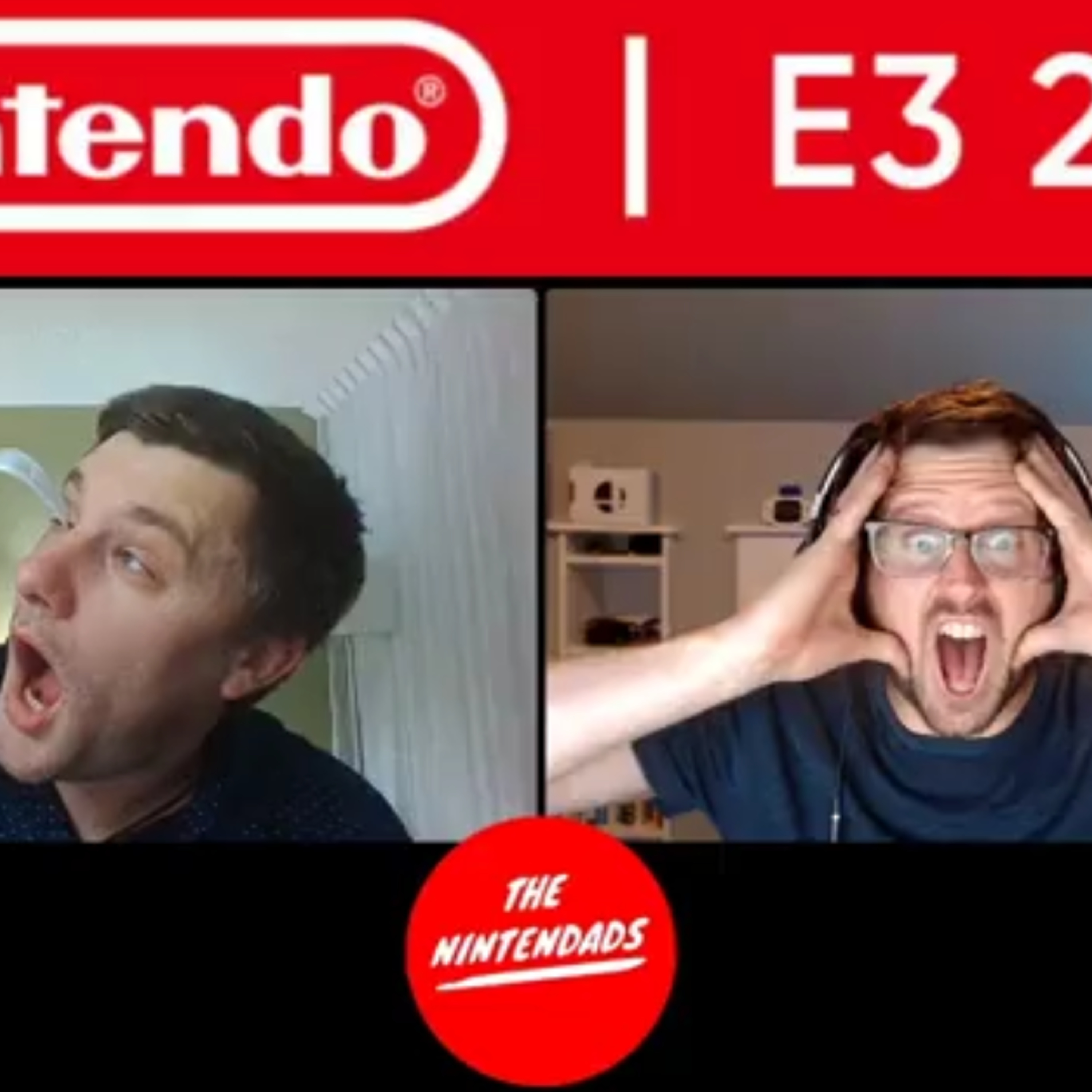 The Nintendads