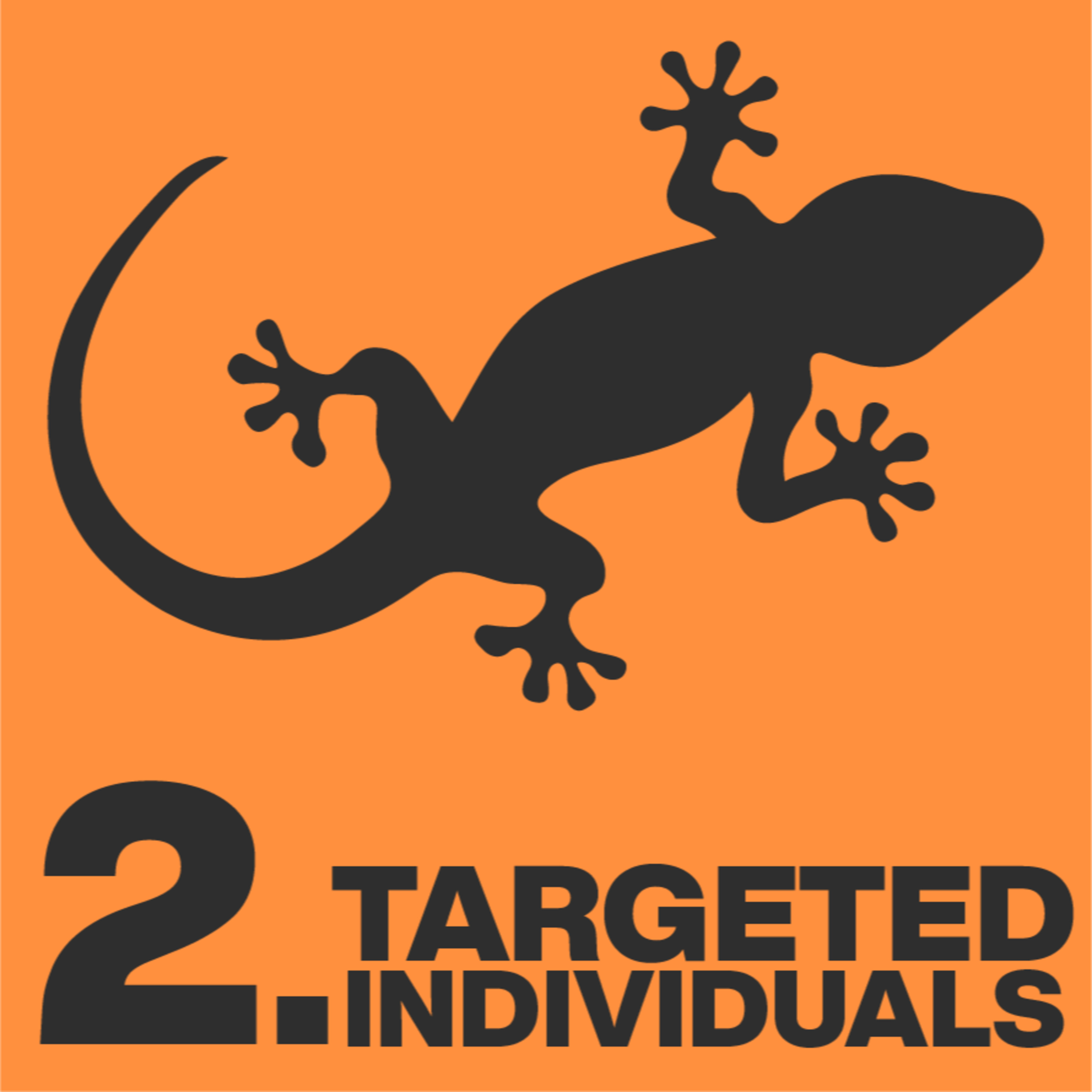 2 - Targeted Individuals episode artwork