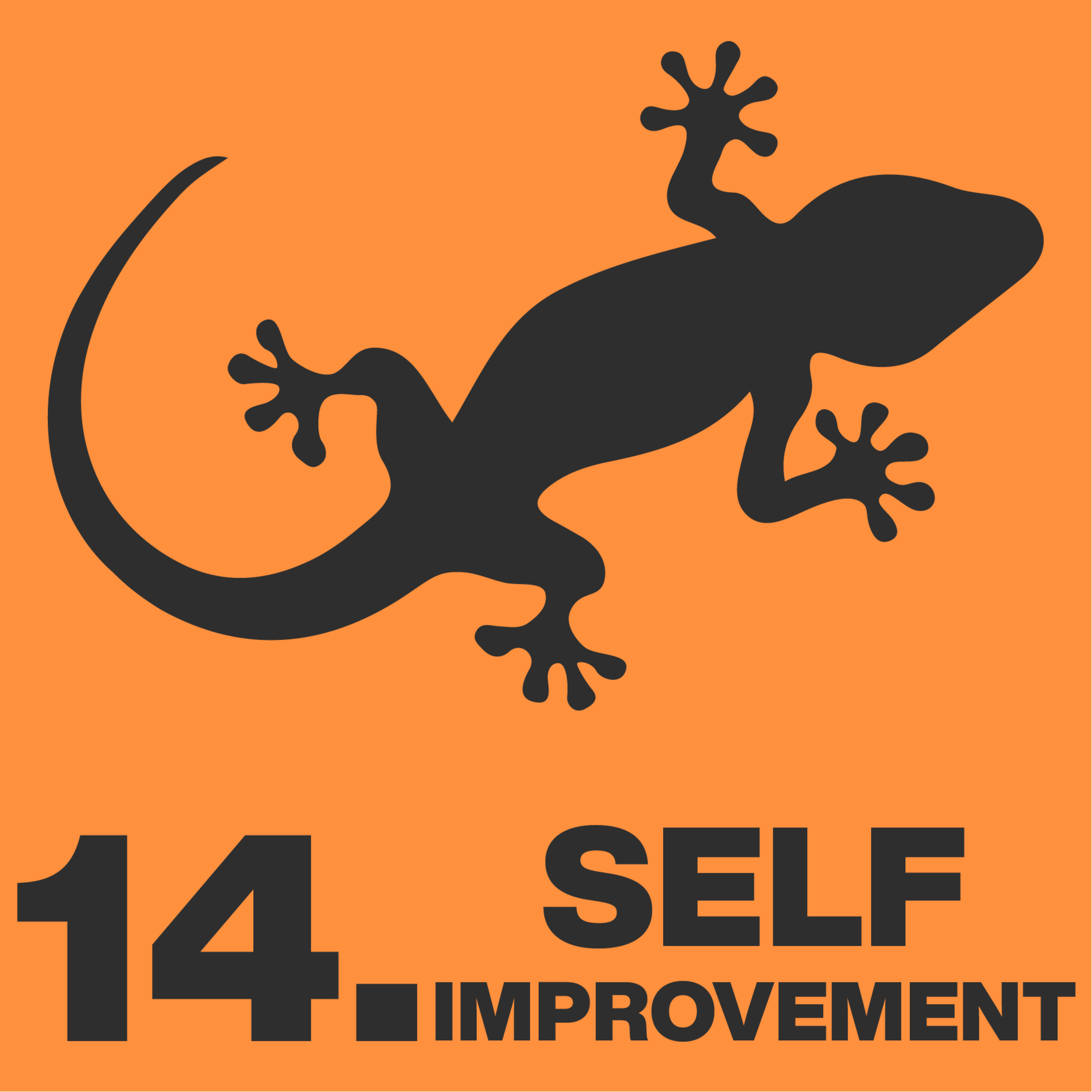 14 - Self Improvement episode artwork