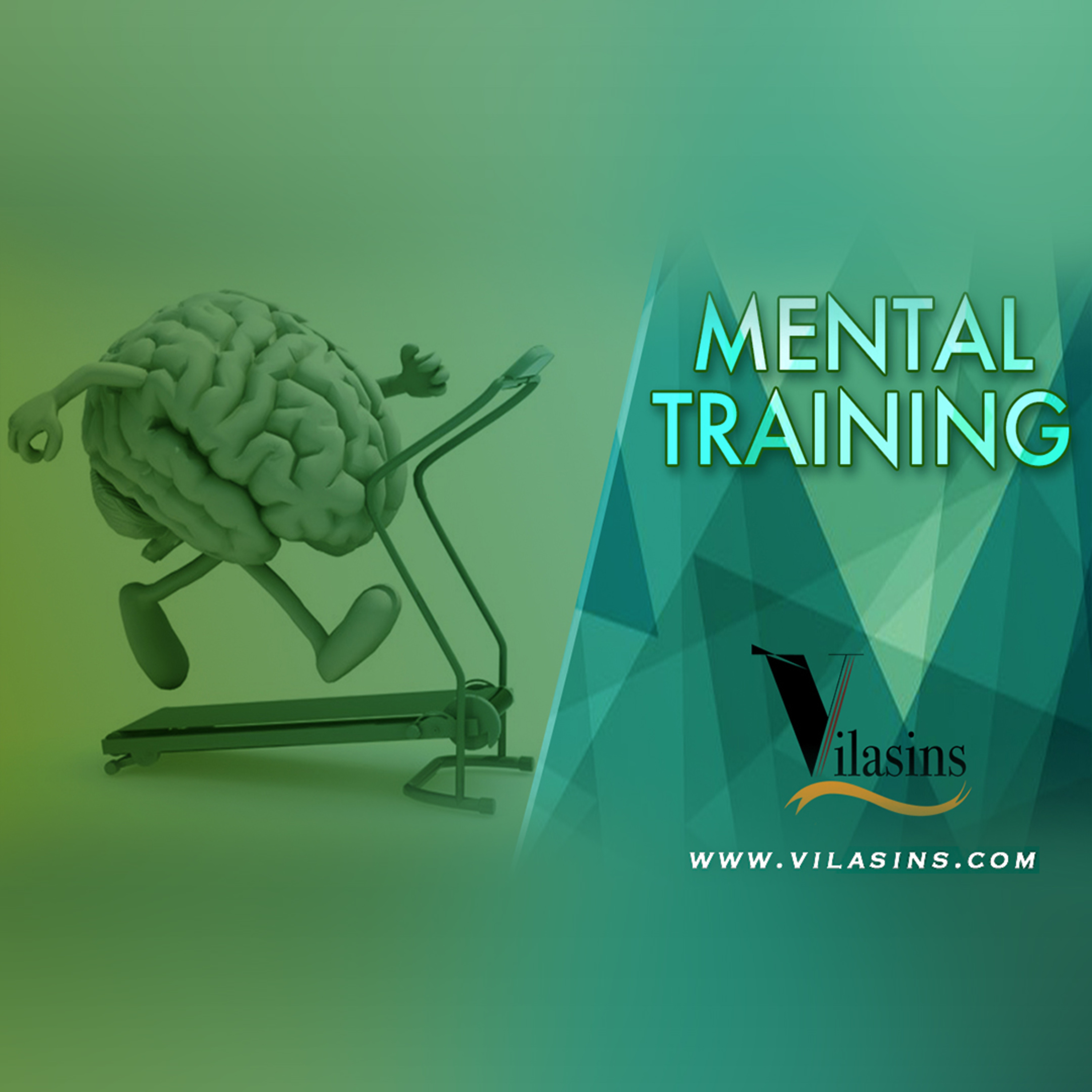 Vilasins Sports