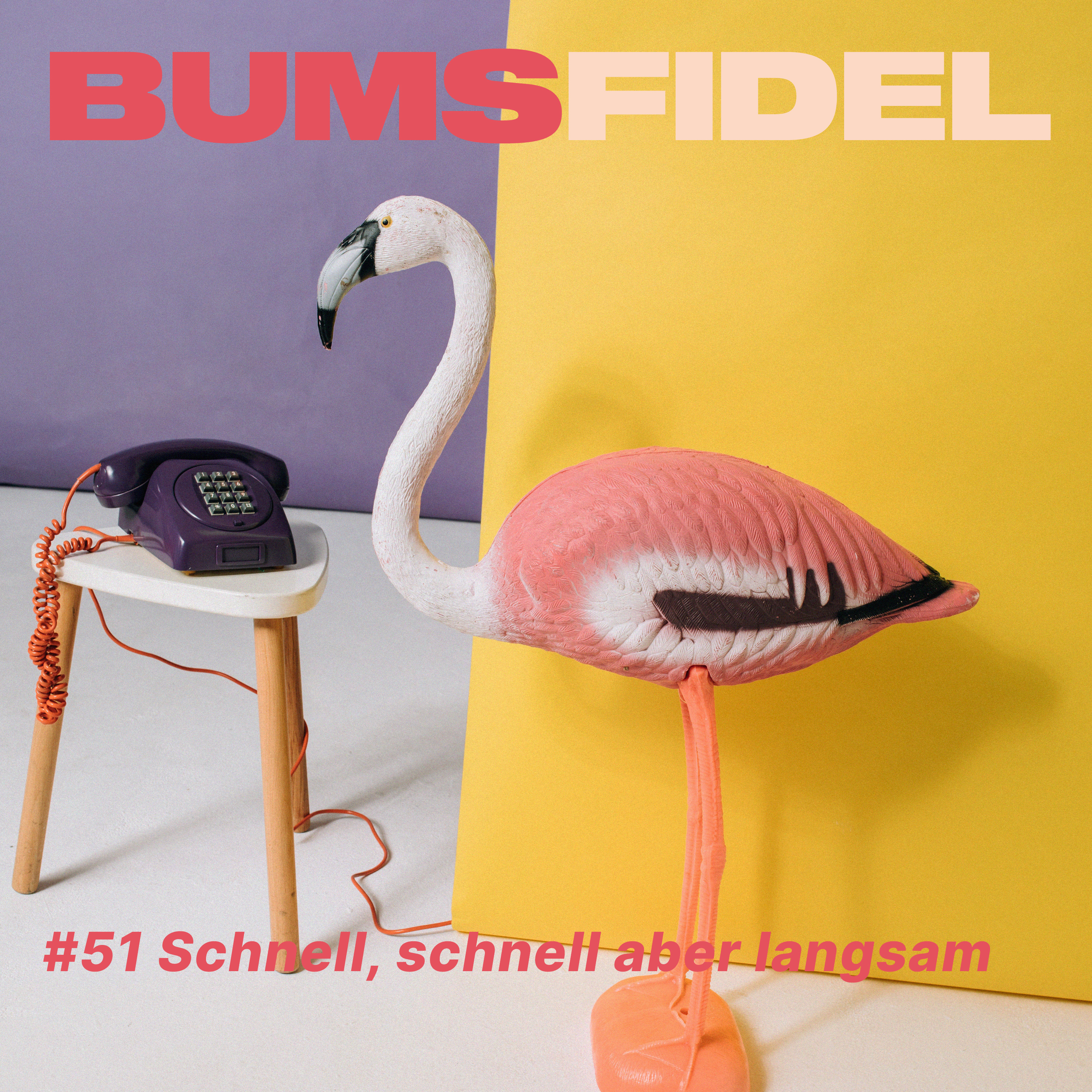 #51 Schnell, schnell aber langsam episode artwork