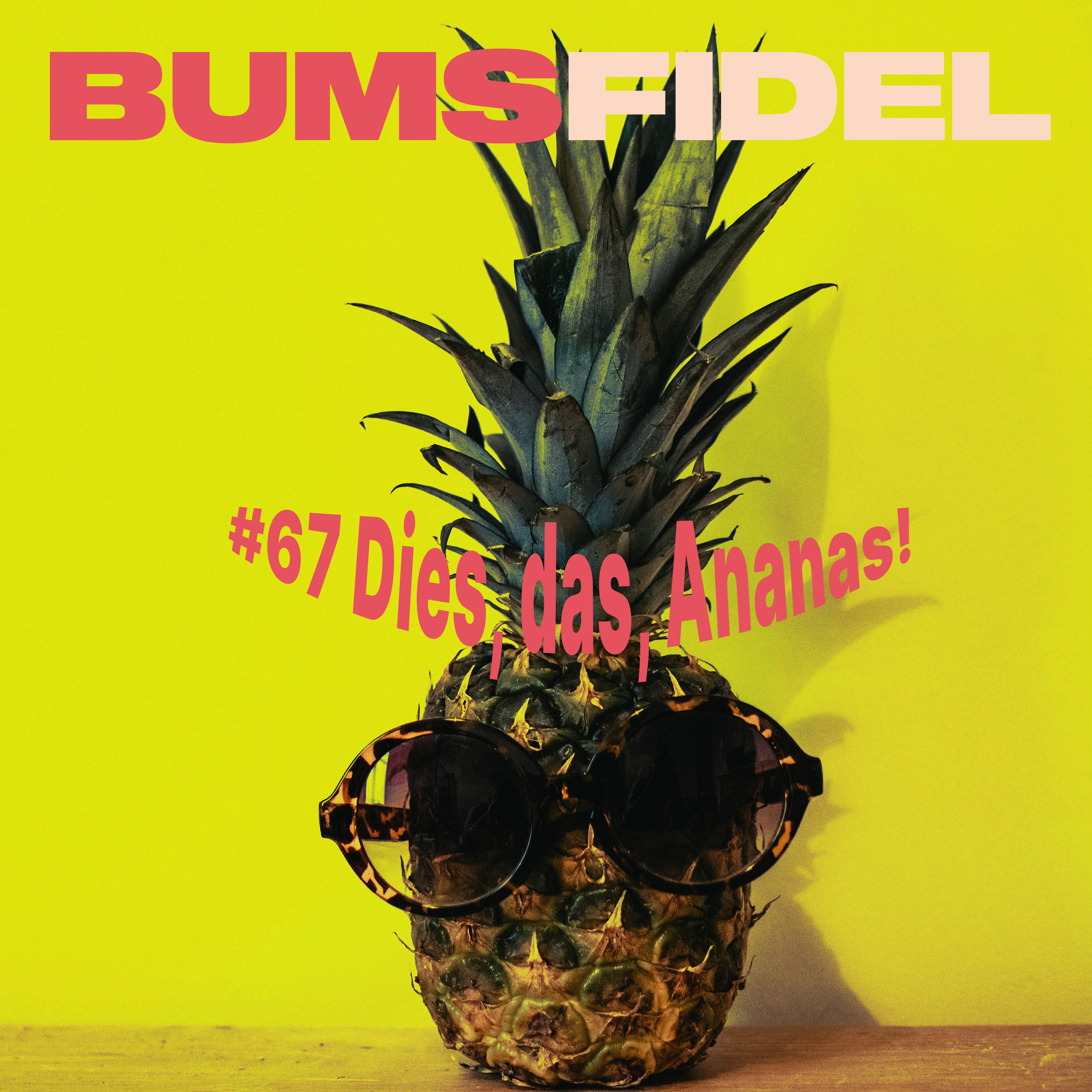 #67 Dies, das, Ananas! episode artwork