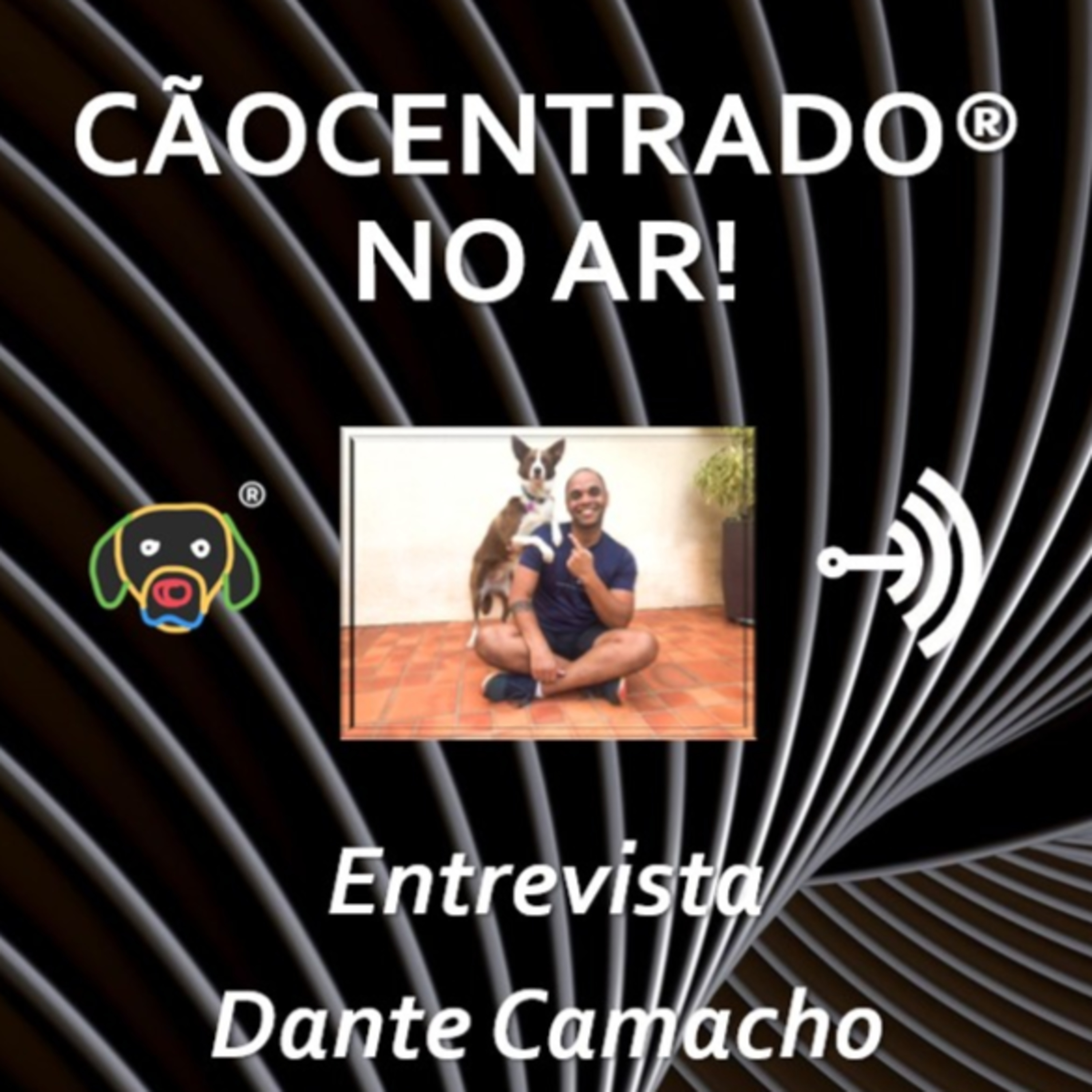 Cãocentrado No Ar!