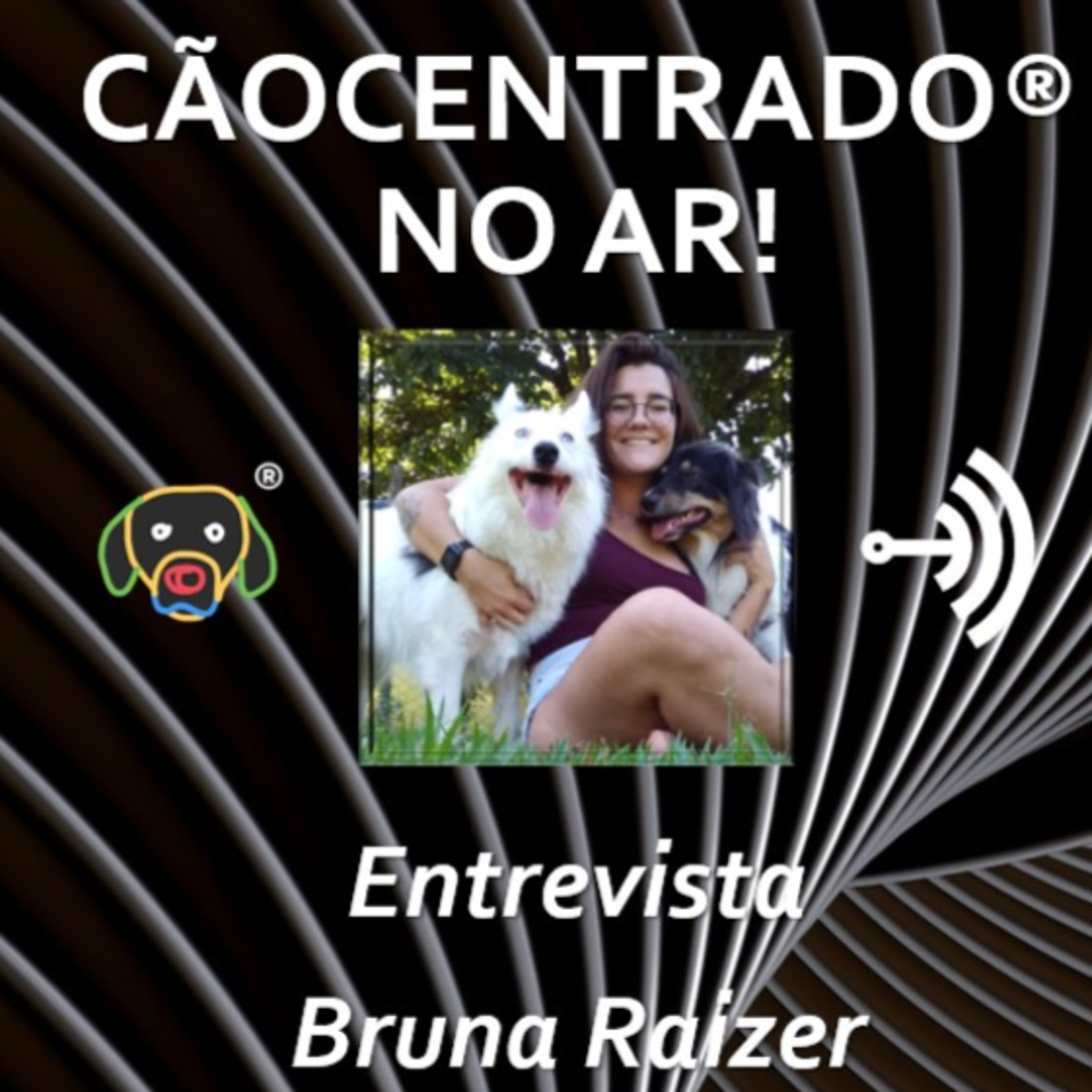 Cãocentrado No Ar!