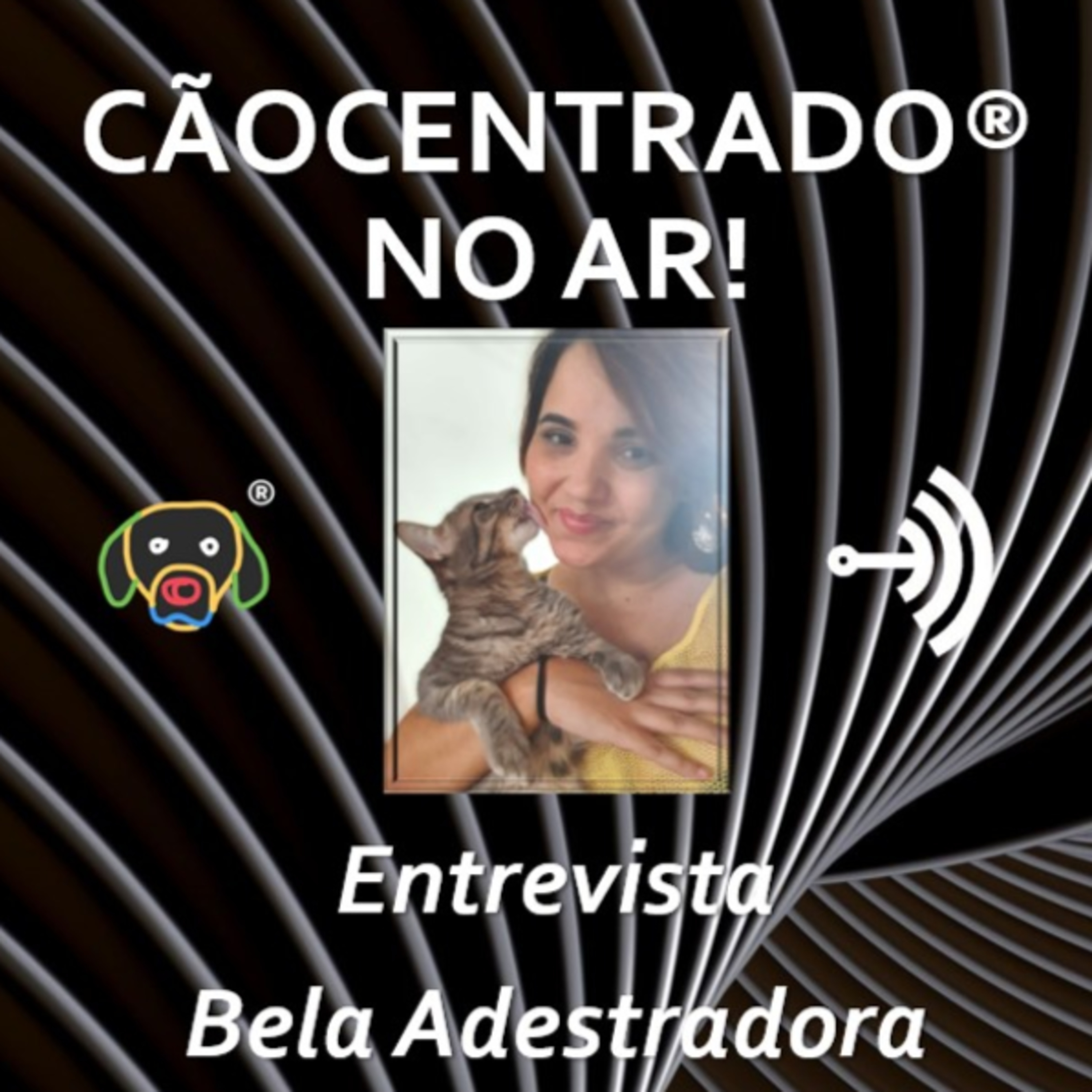 Cãocentrado No Ar!