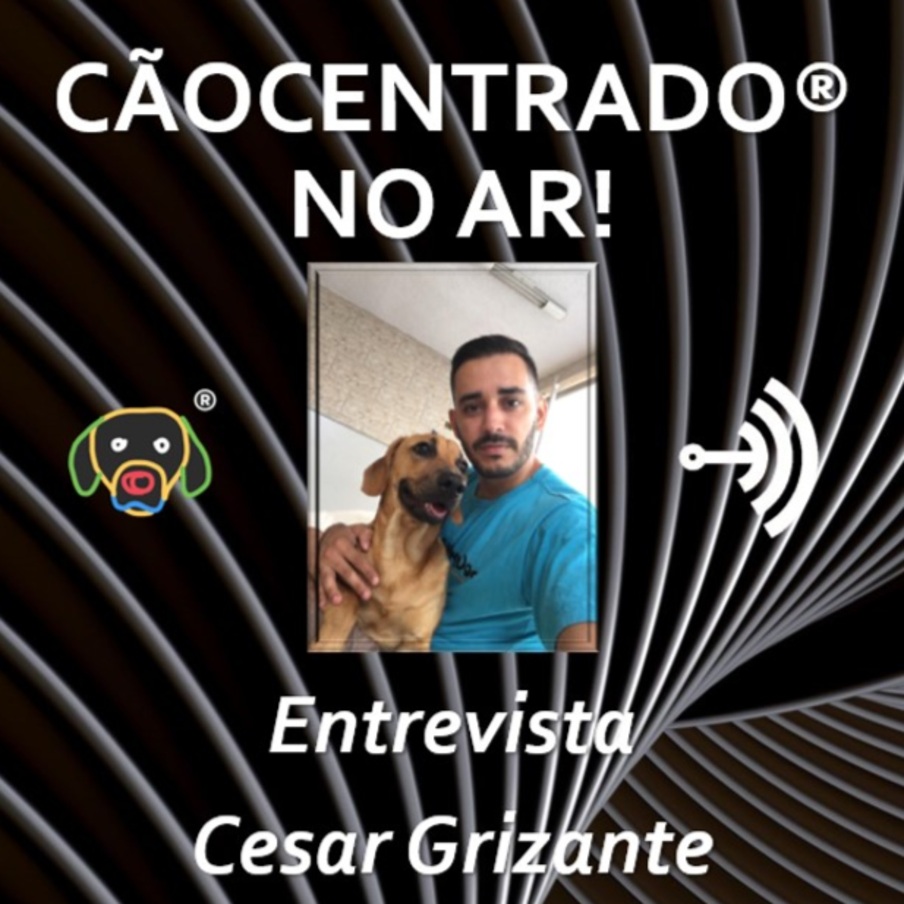 Cãocentrado No Ar!