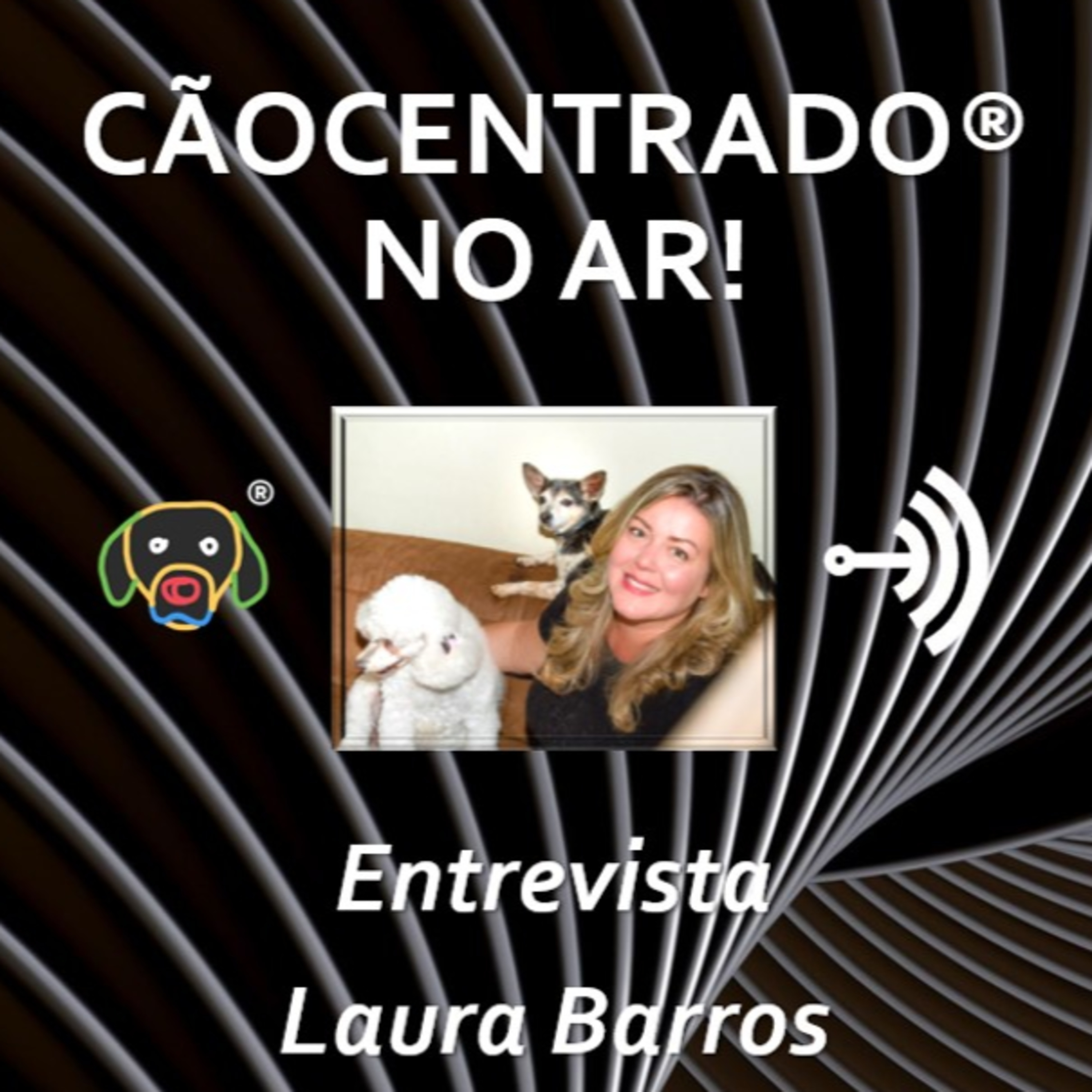 Cãocentrado No Ar!