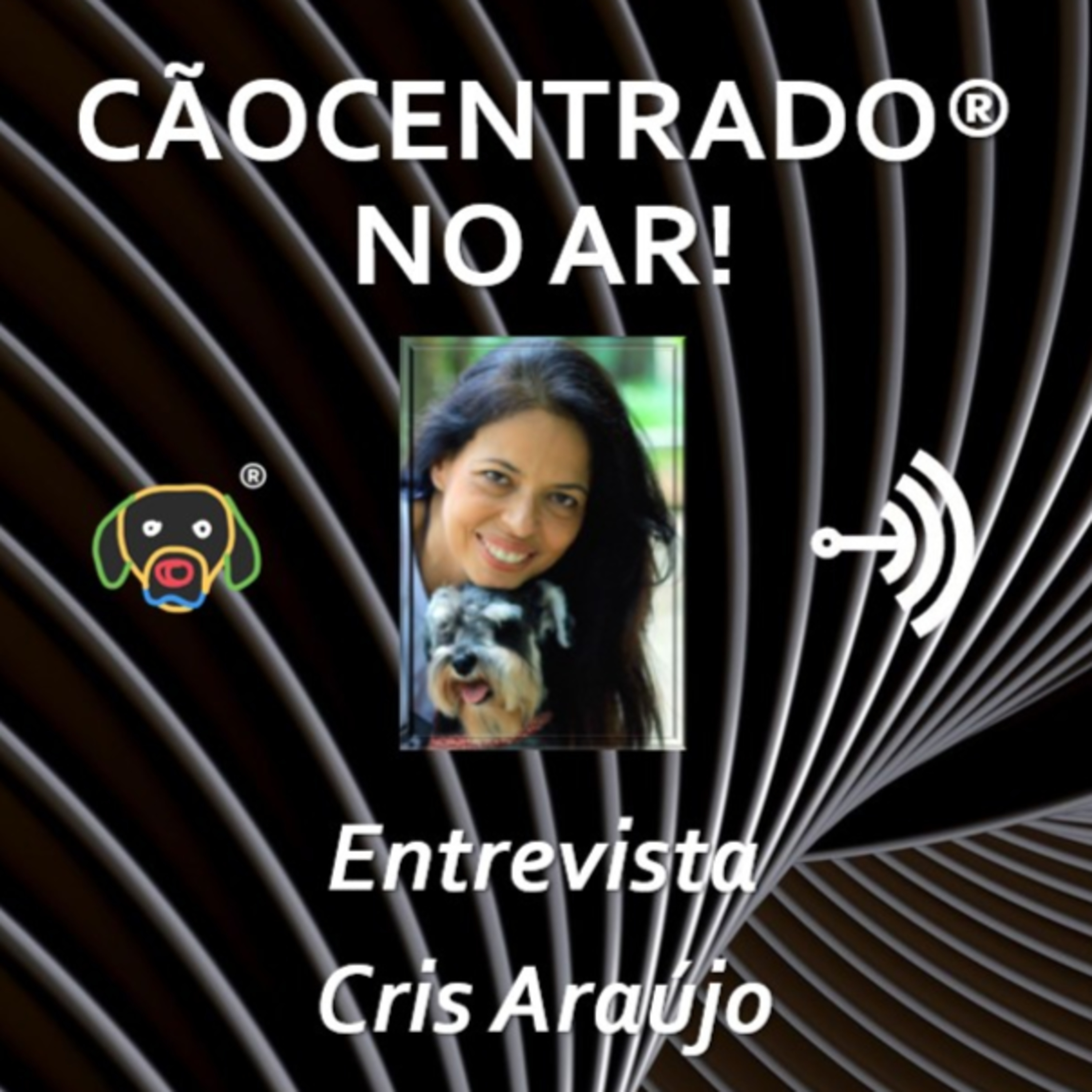 Cãocentrado No Ar!