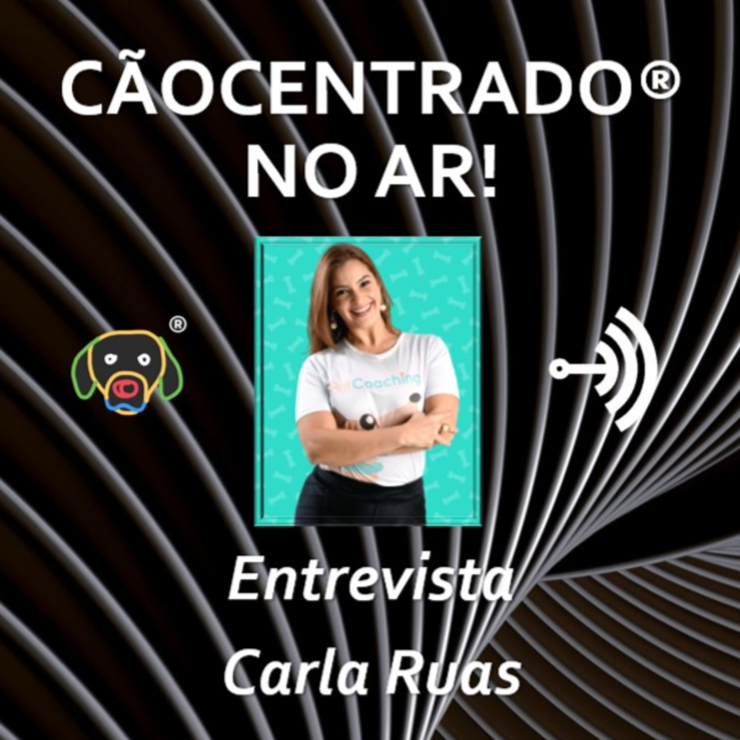 Cãocentrado No Ar!