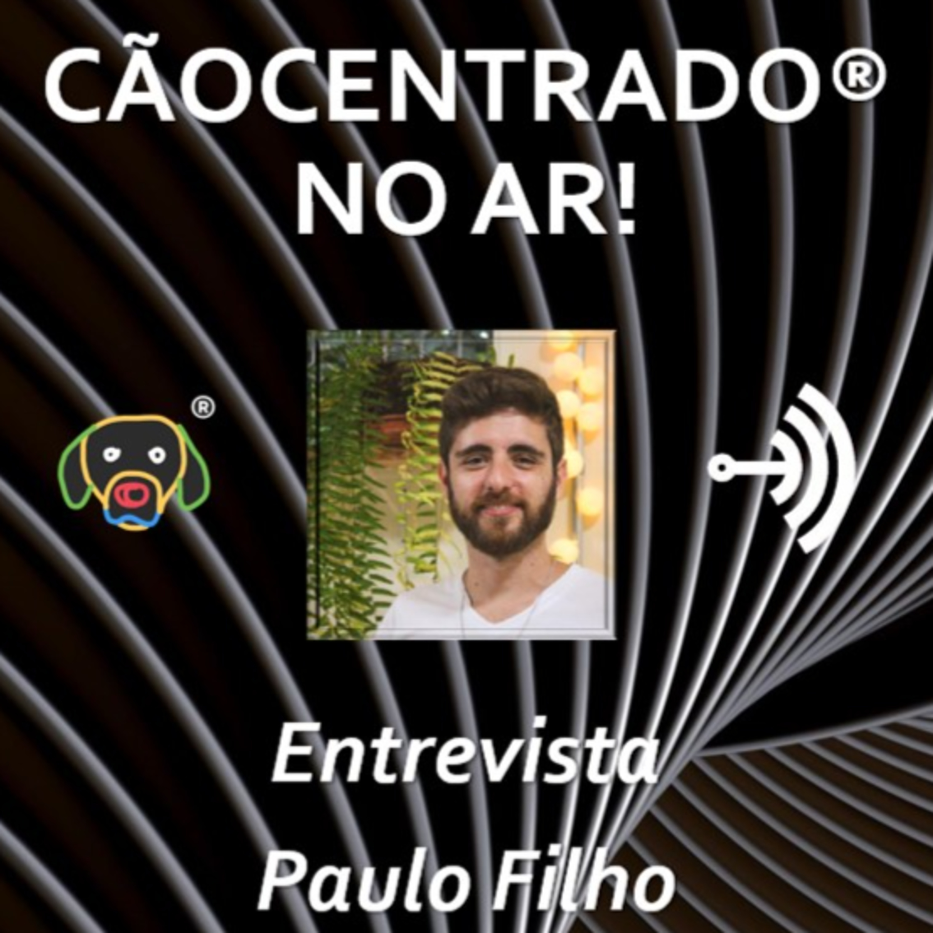 Cãocentrado No Ar!