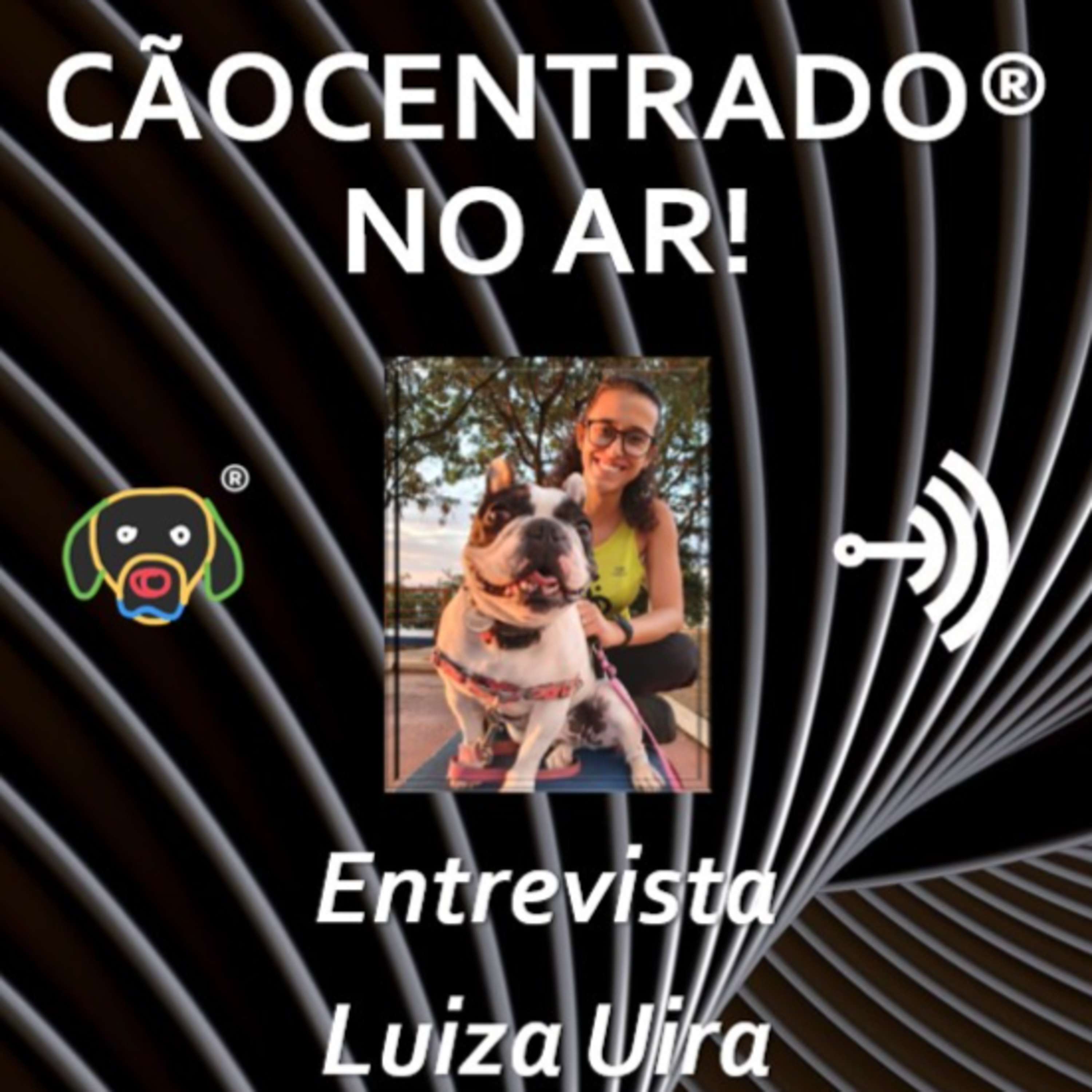 Cãocentrado No Ar!