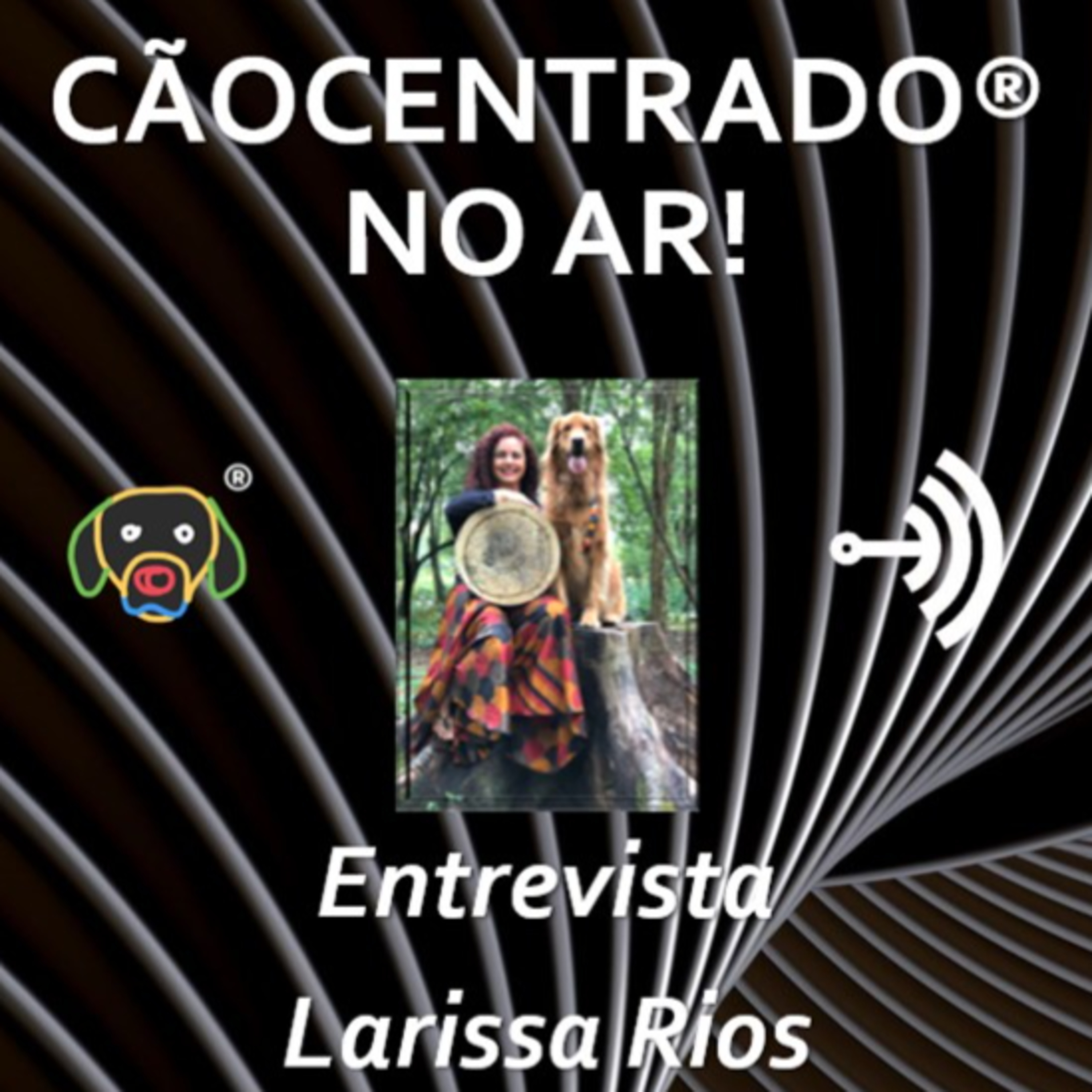 Cãocentrado No Ar!