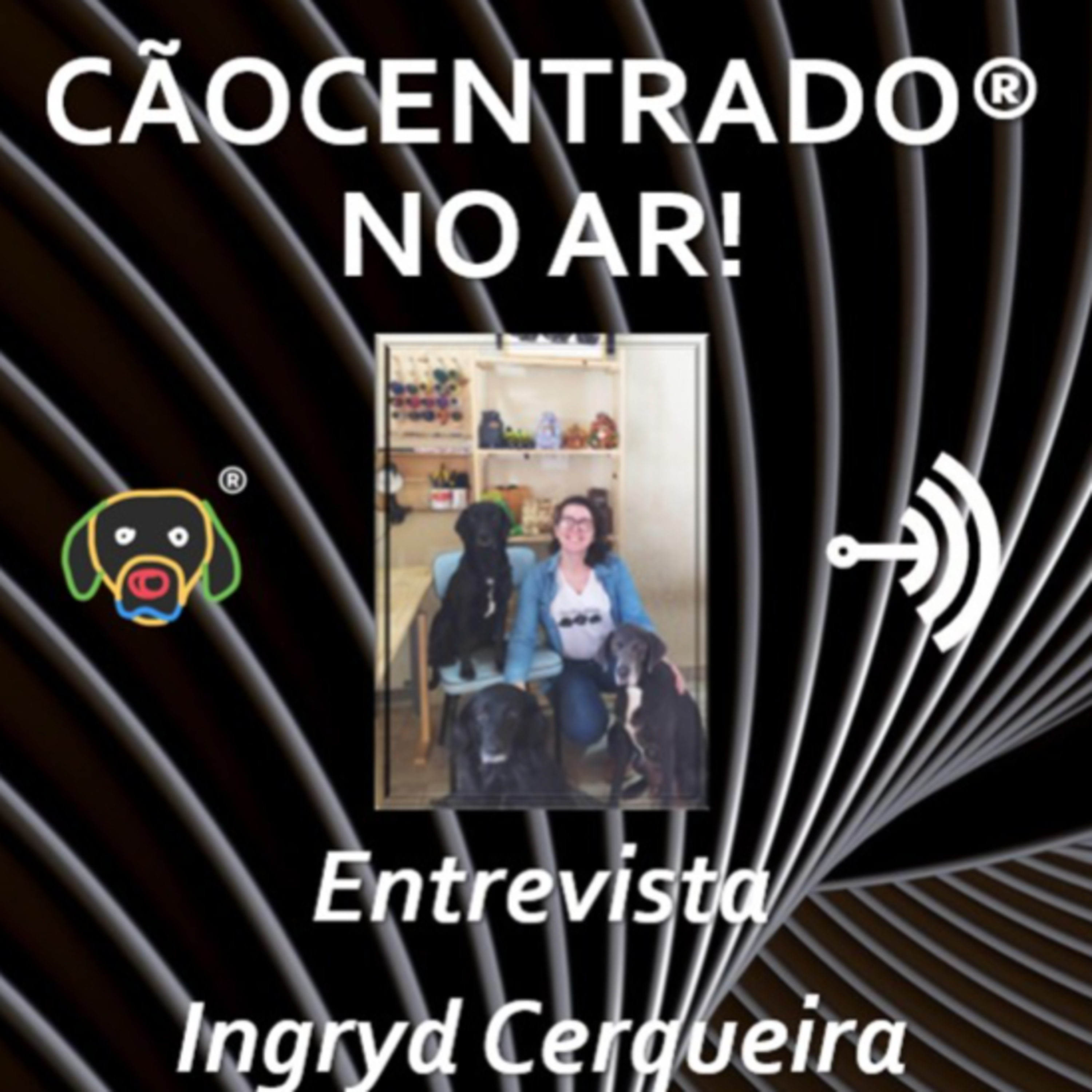 Cãocentrado No Ar!
