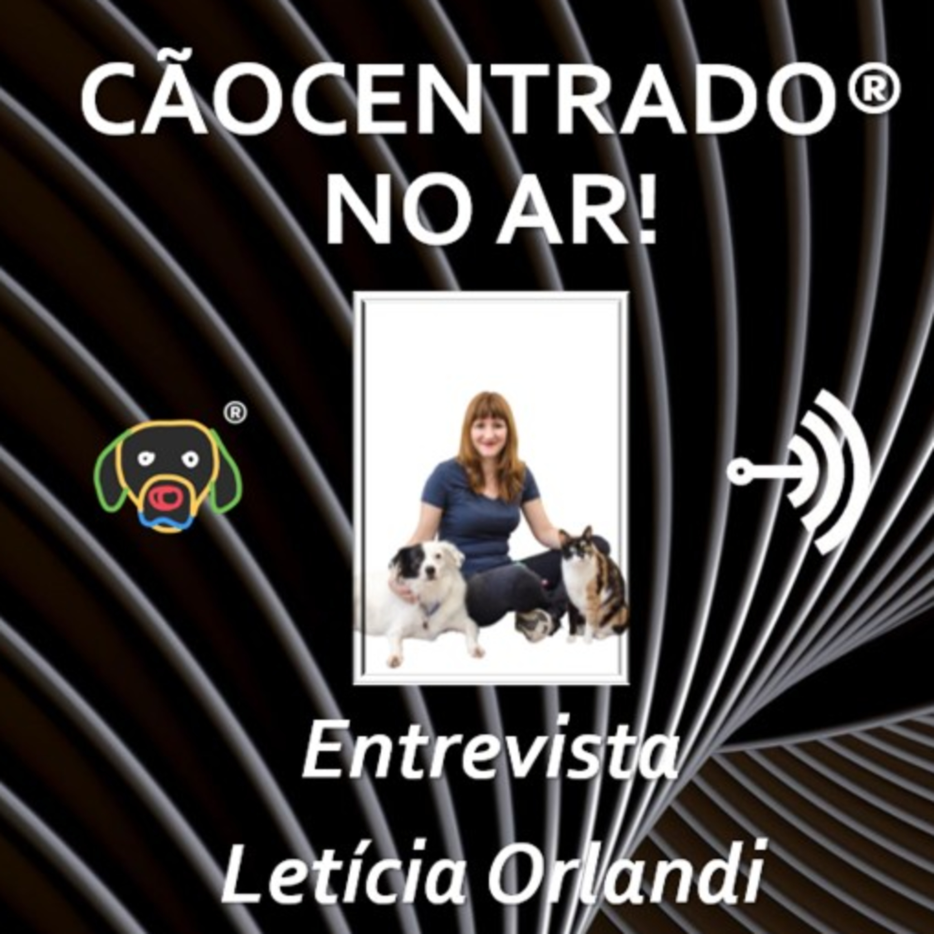 Cãocentrado No Ar!