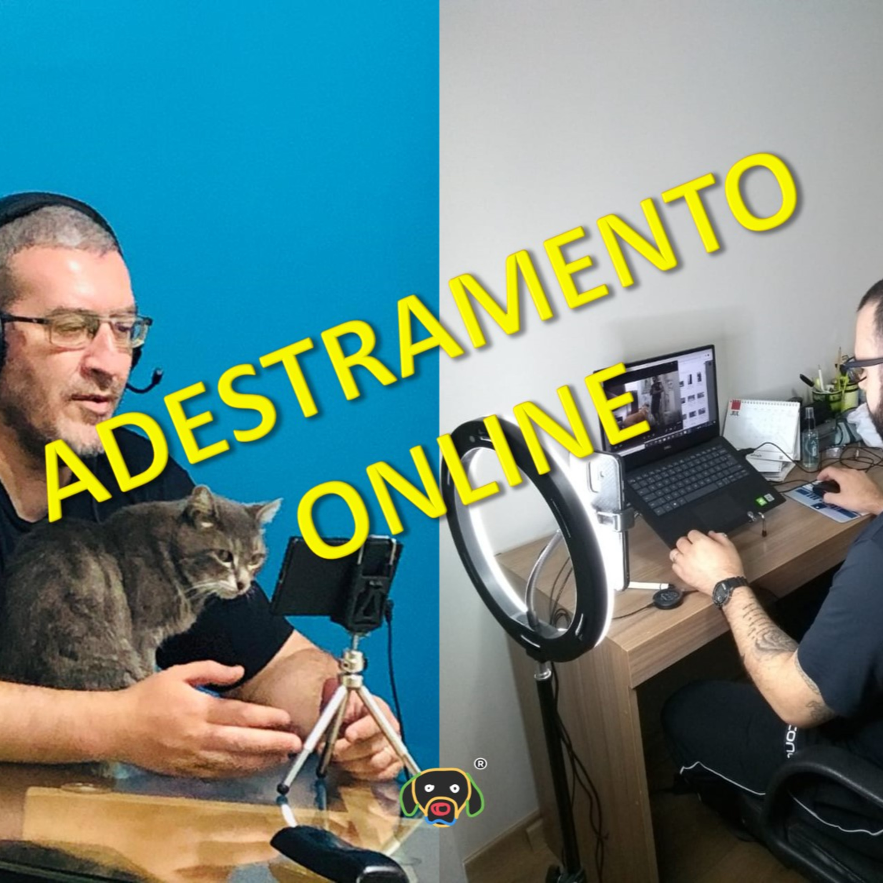 Cãocentrado No Ar!
