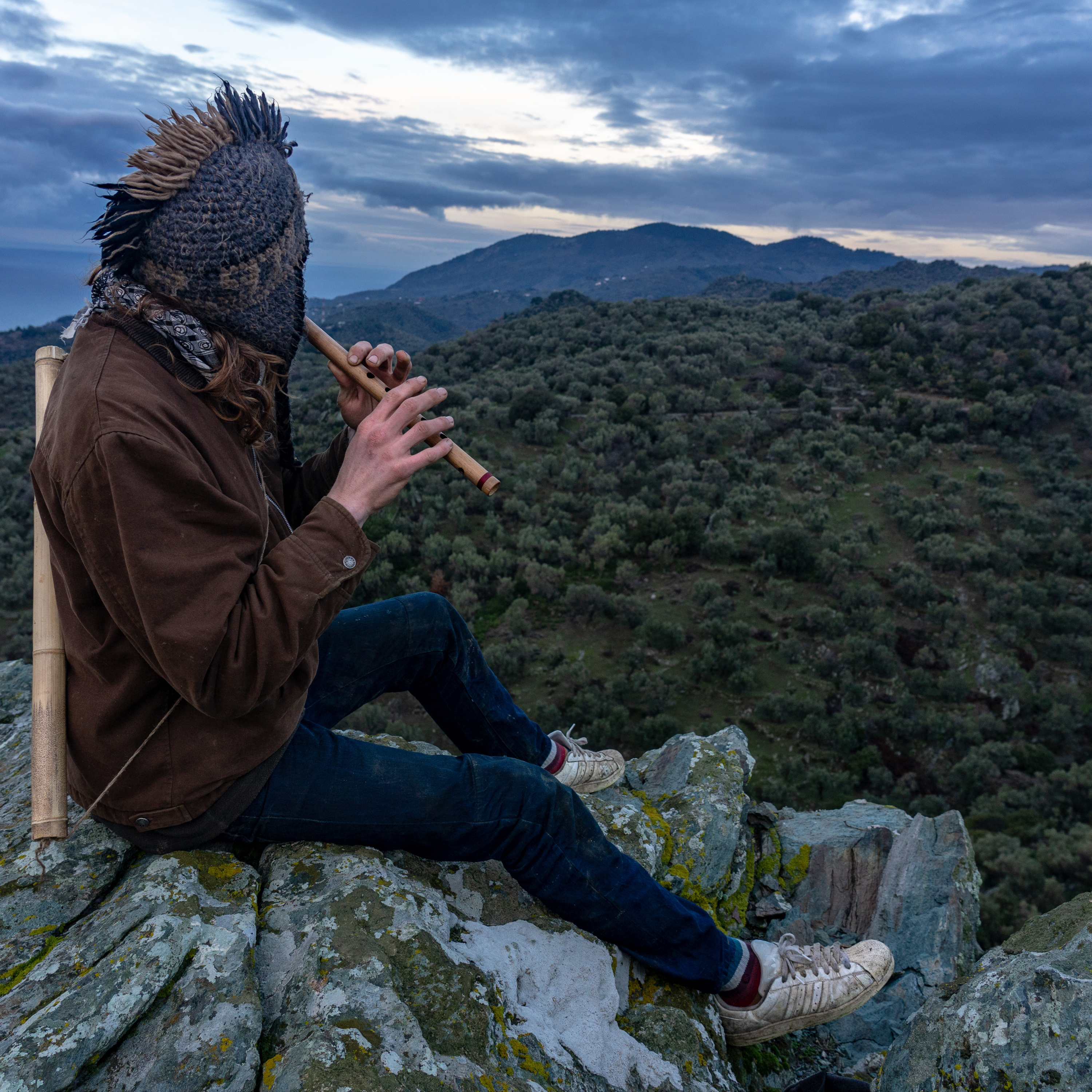 Witness Wild Wisdom