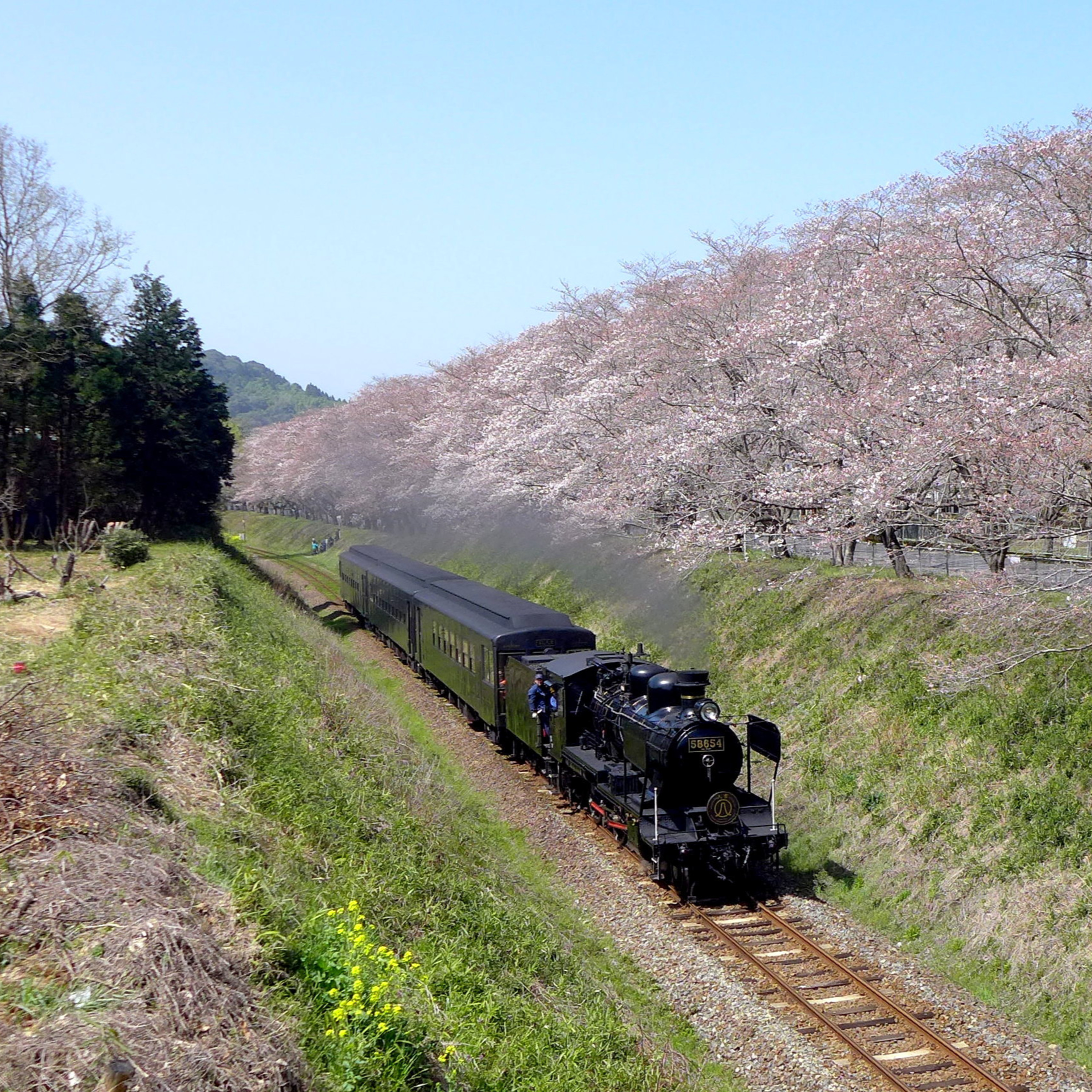 音鉄道楽ラジオ