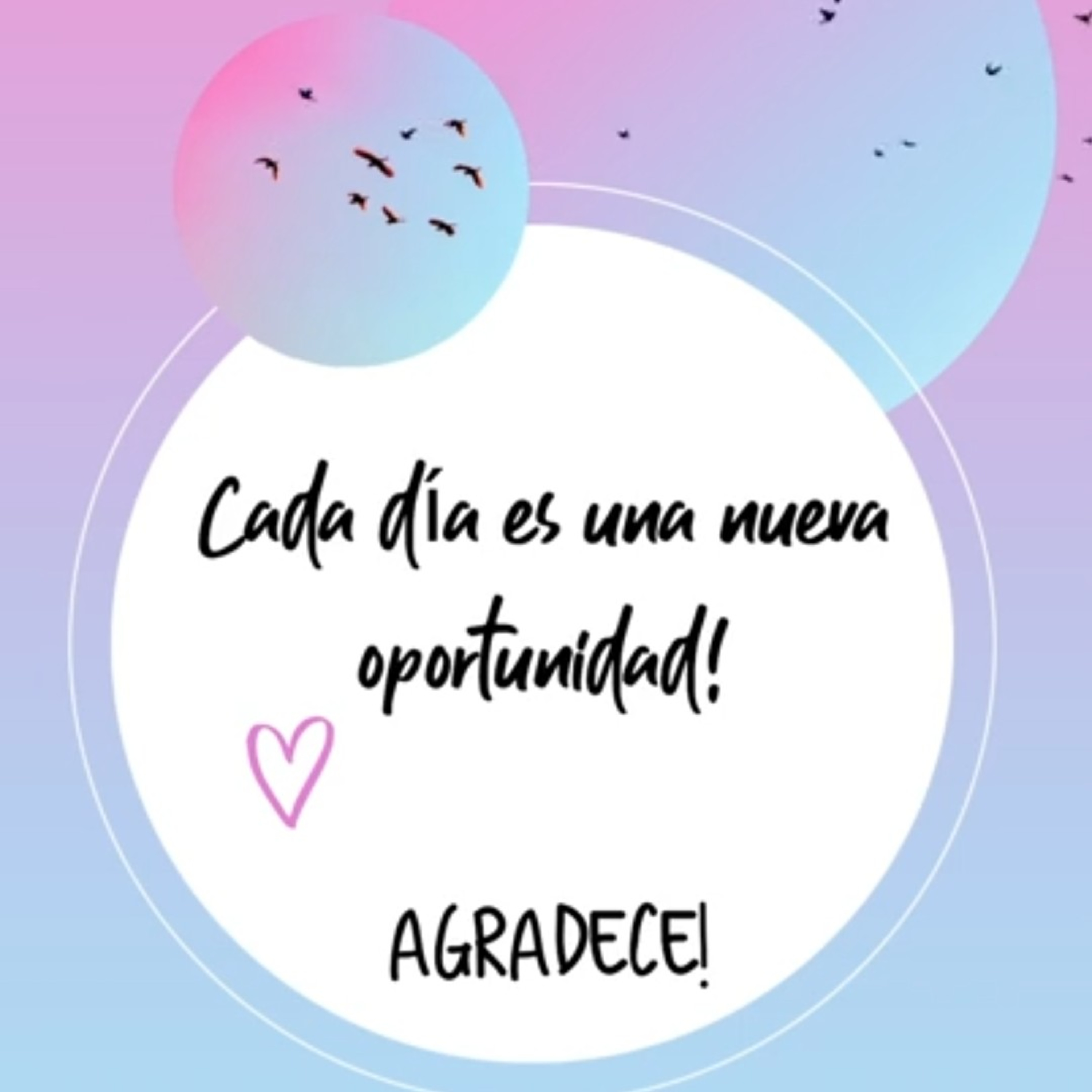 A la carga con las pilas al 100%🔋