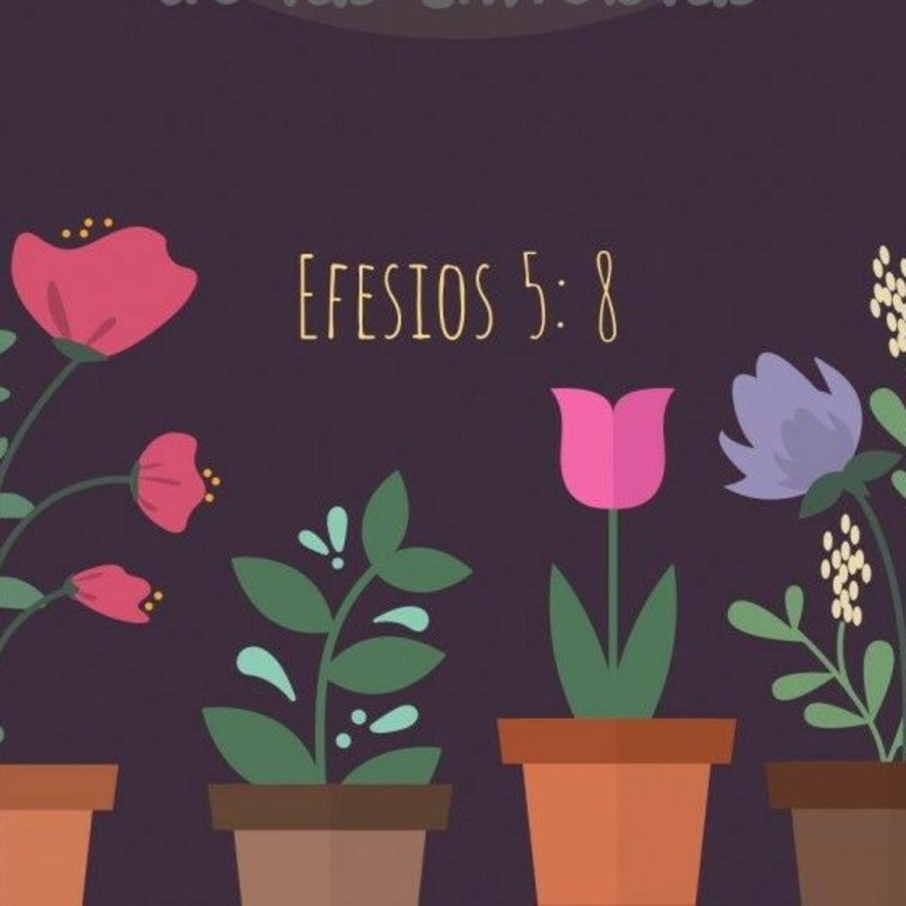 Atención abre tus 👀👂 episode artwork