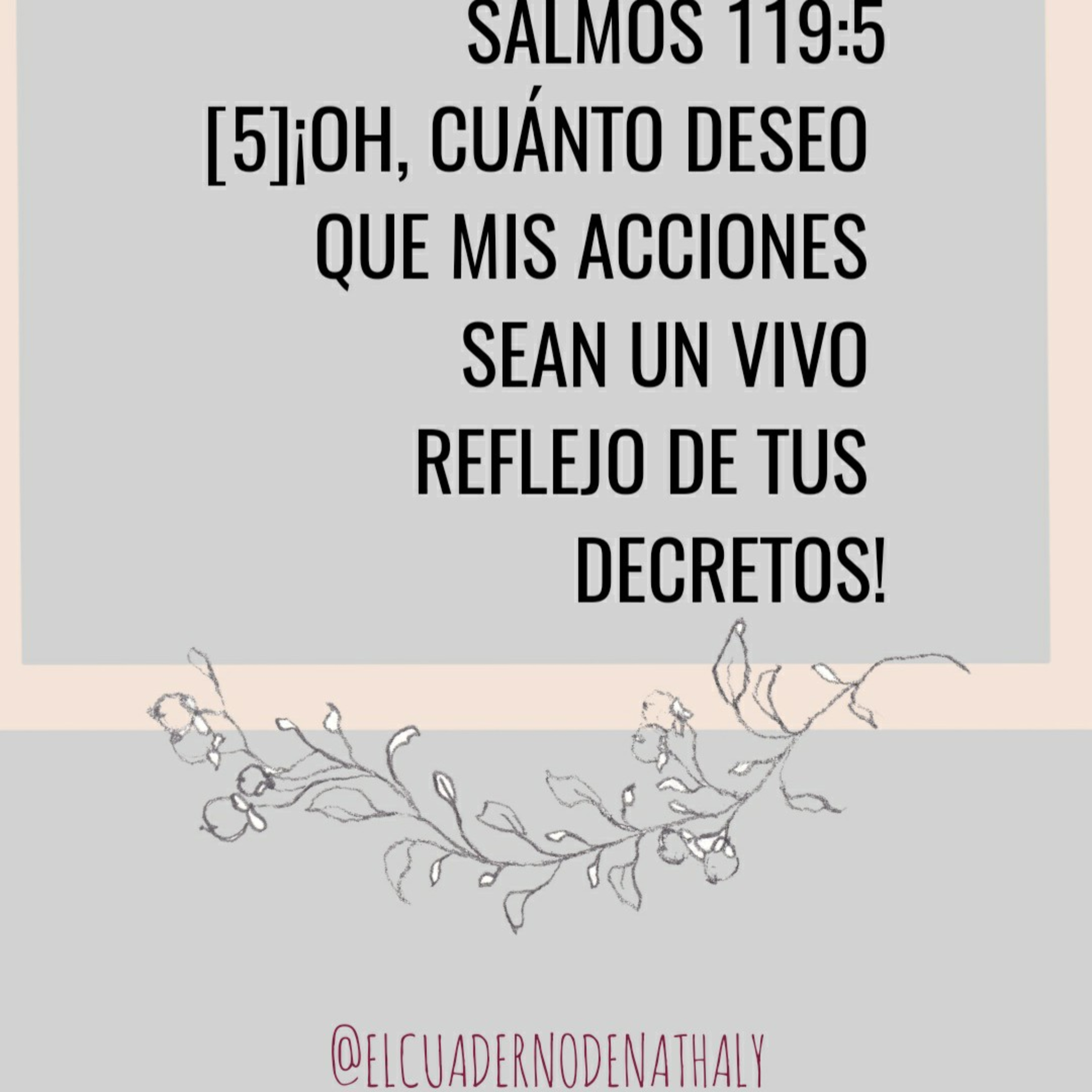 El Cuaderno de Nathaly 🌿