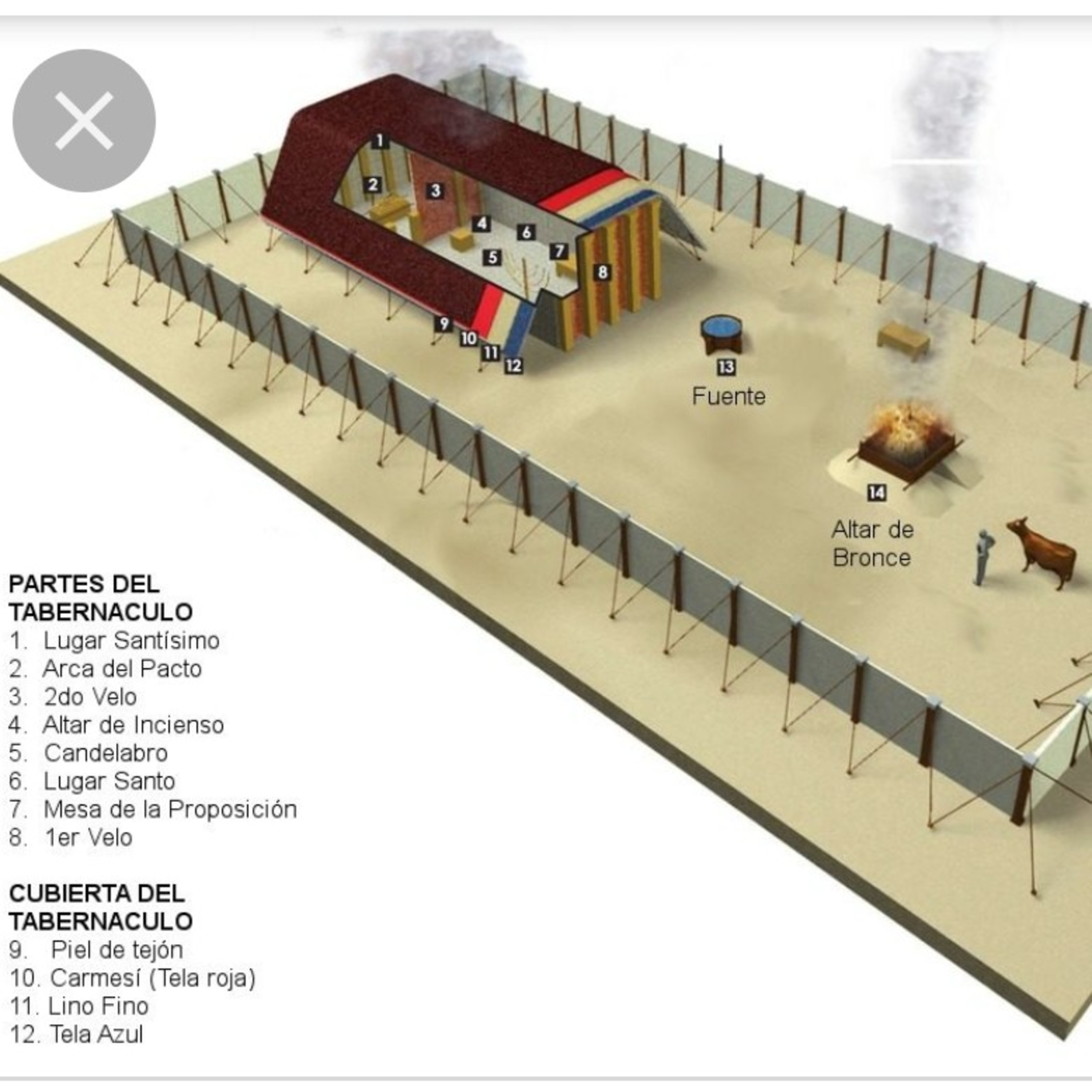 Personajes con el CARÁCTER de JESÚS 🎊🎊