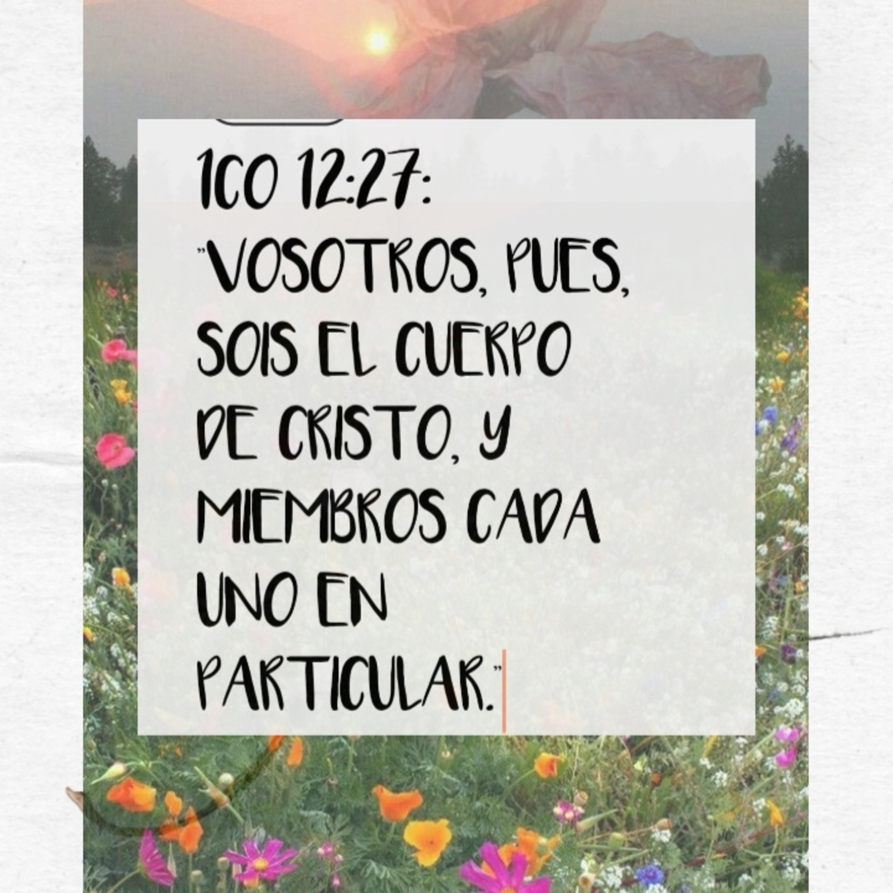 ¿Quién eres tú?  episode artwork