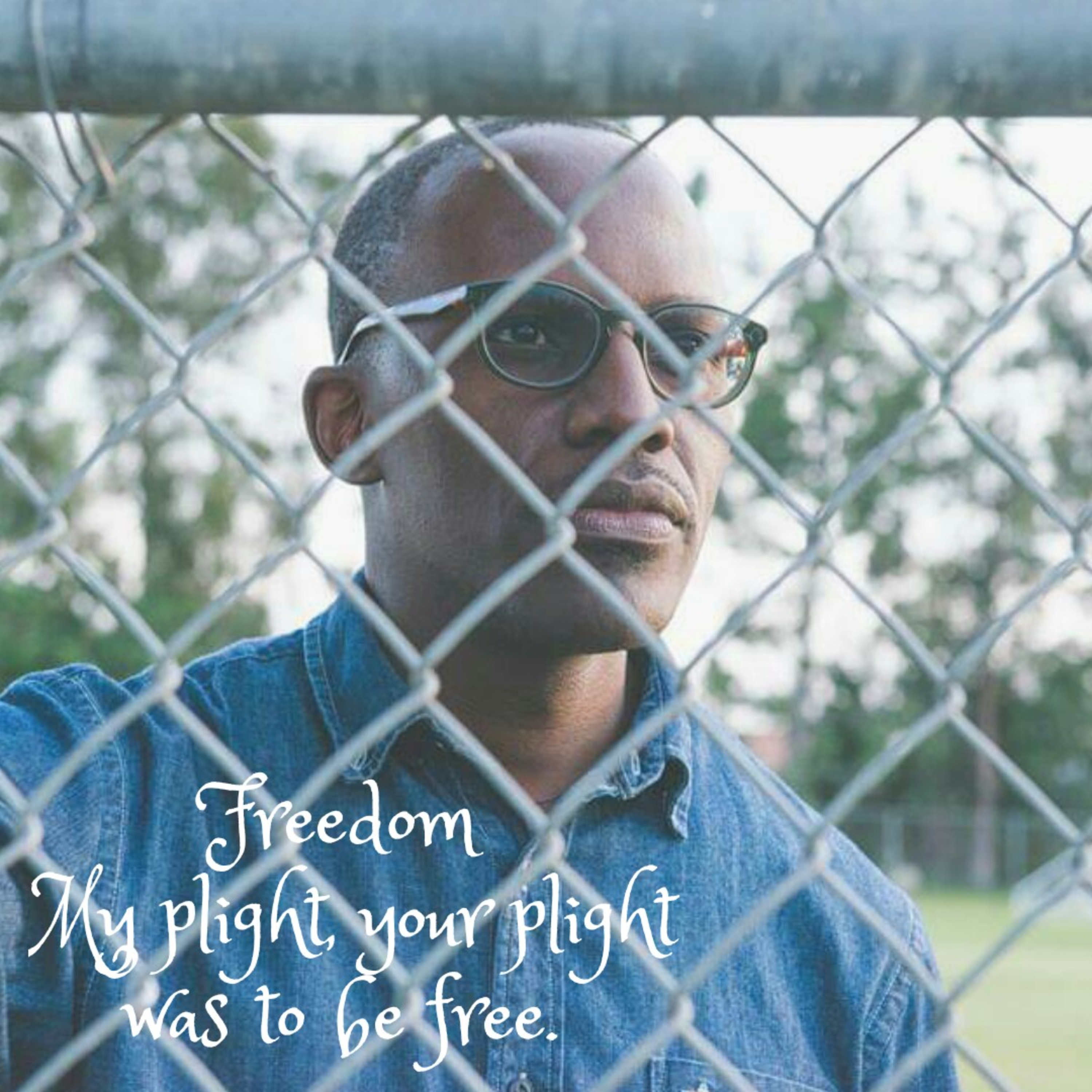 Freedom episode artwork