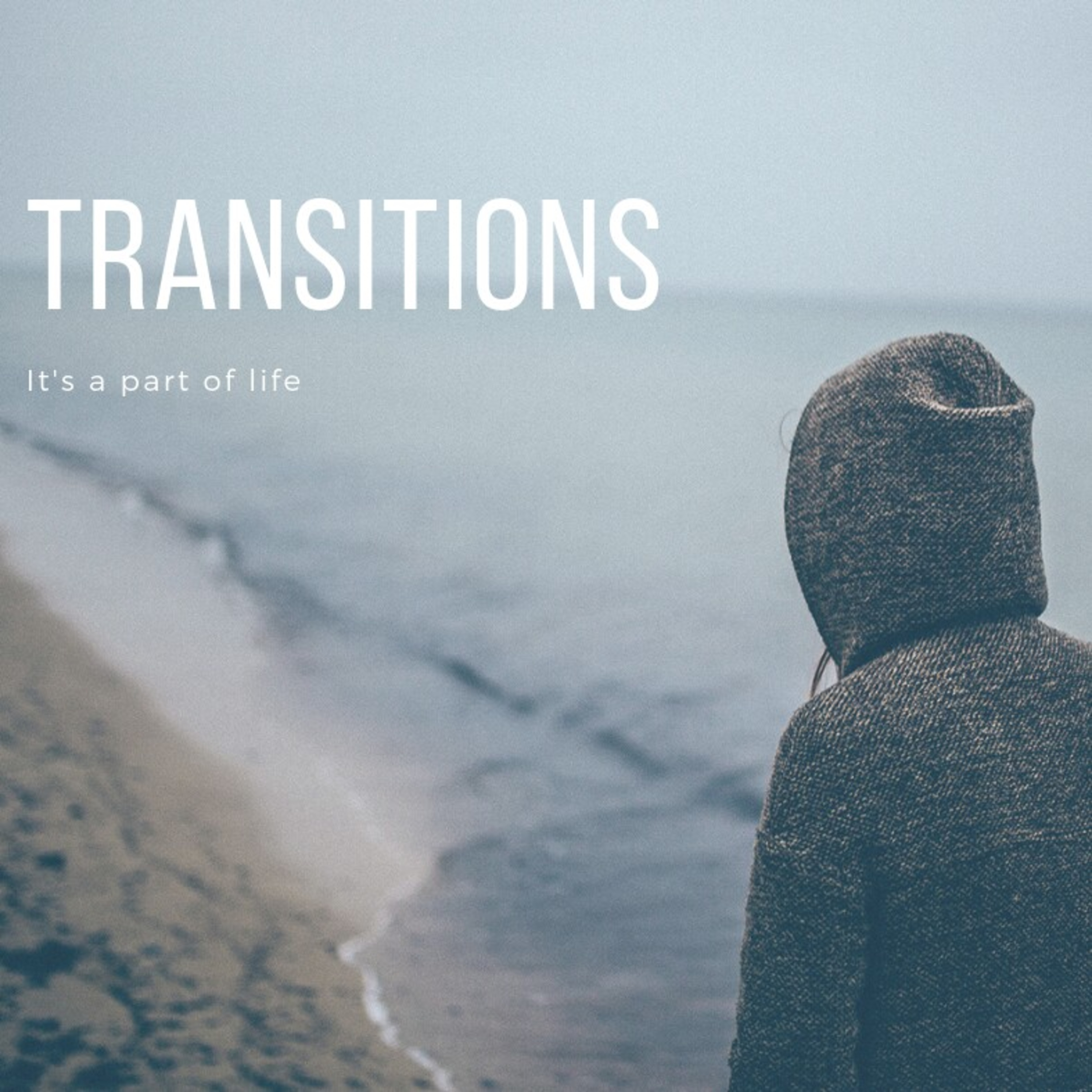 Transitions  episode artwork
