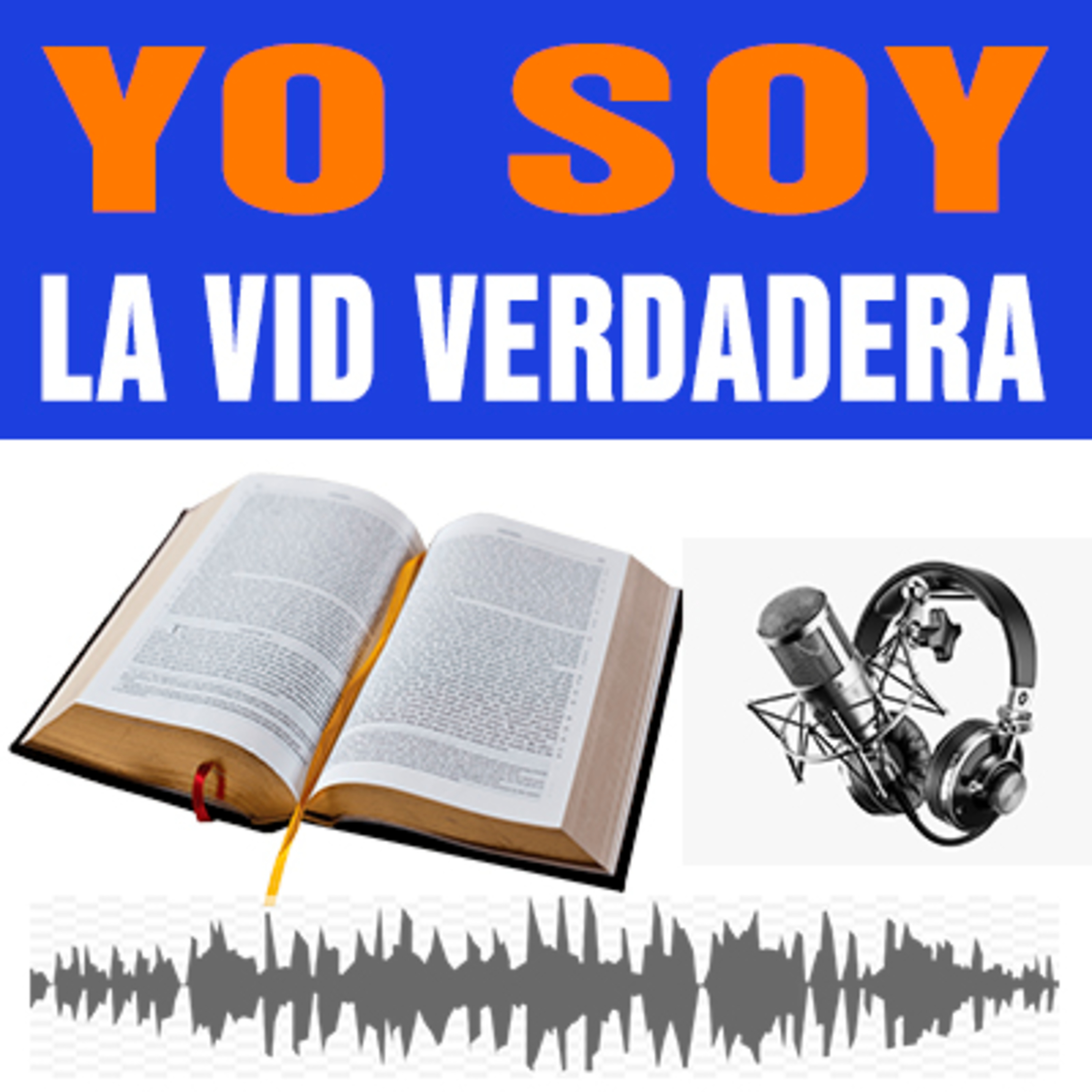 Jesucristo es la Vida Verdadera ( Juan 15/1-17 ) episode artwork