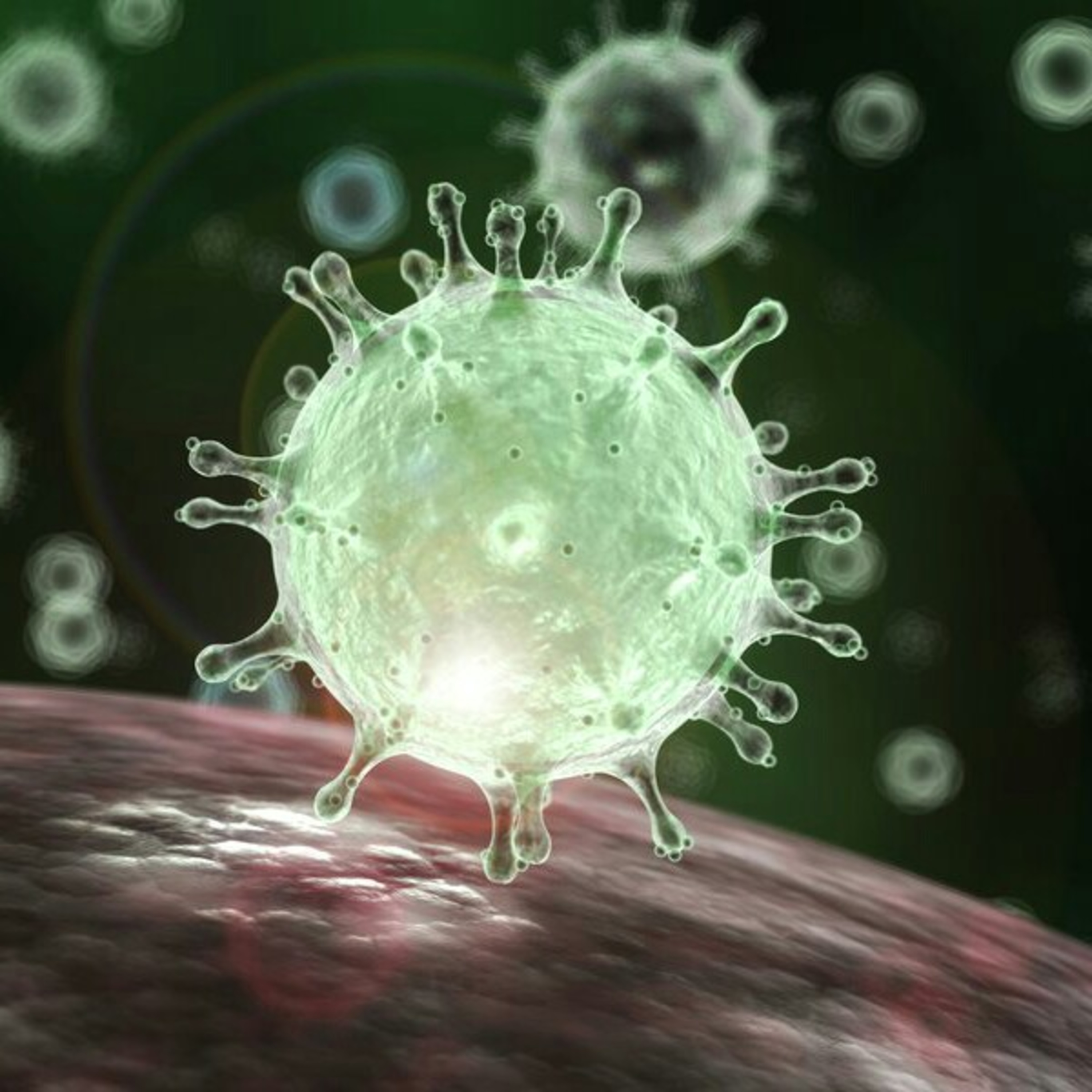 ¿Coronavirus? 