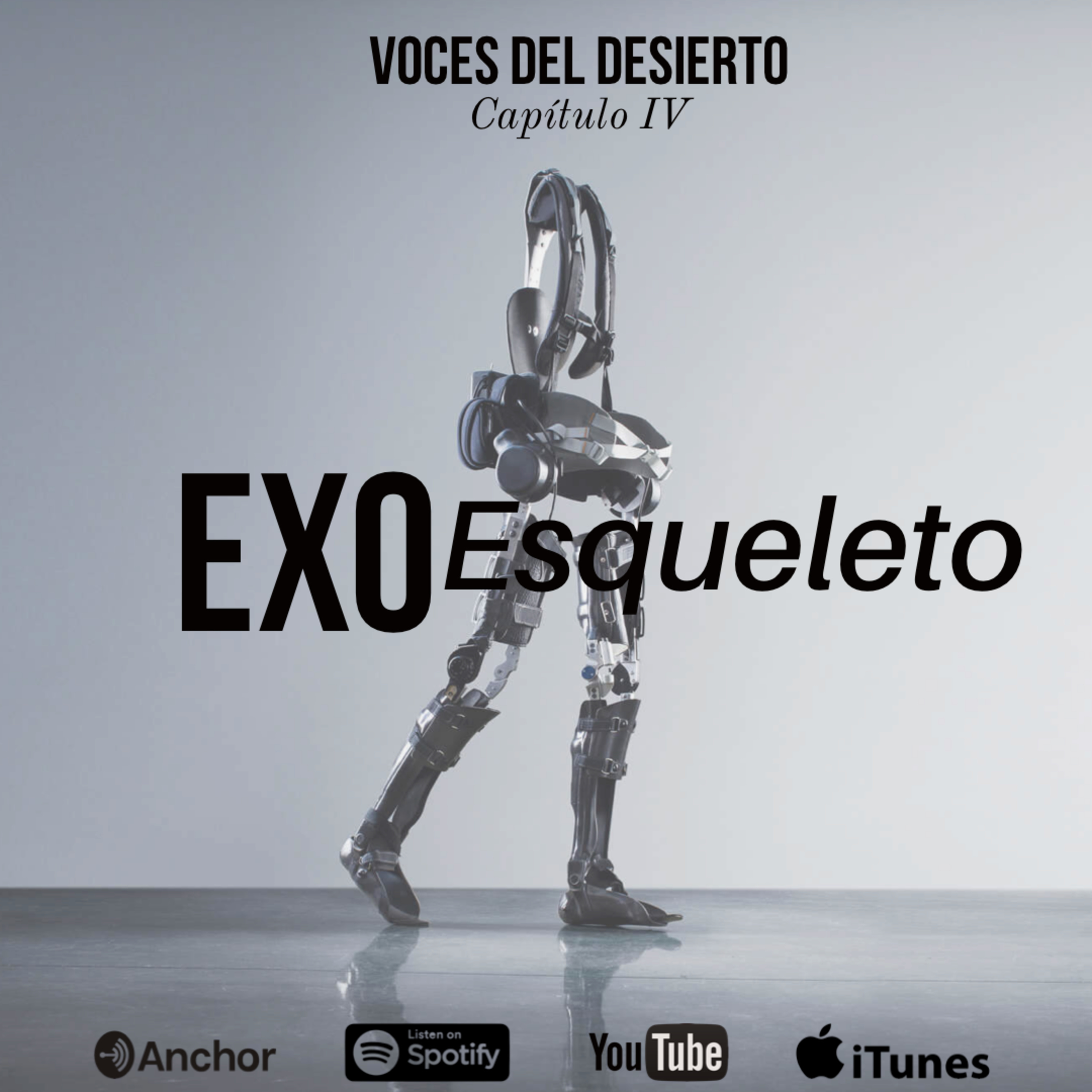 Voces del Desierto