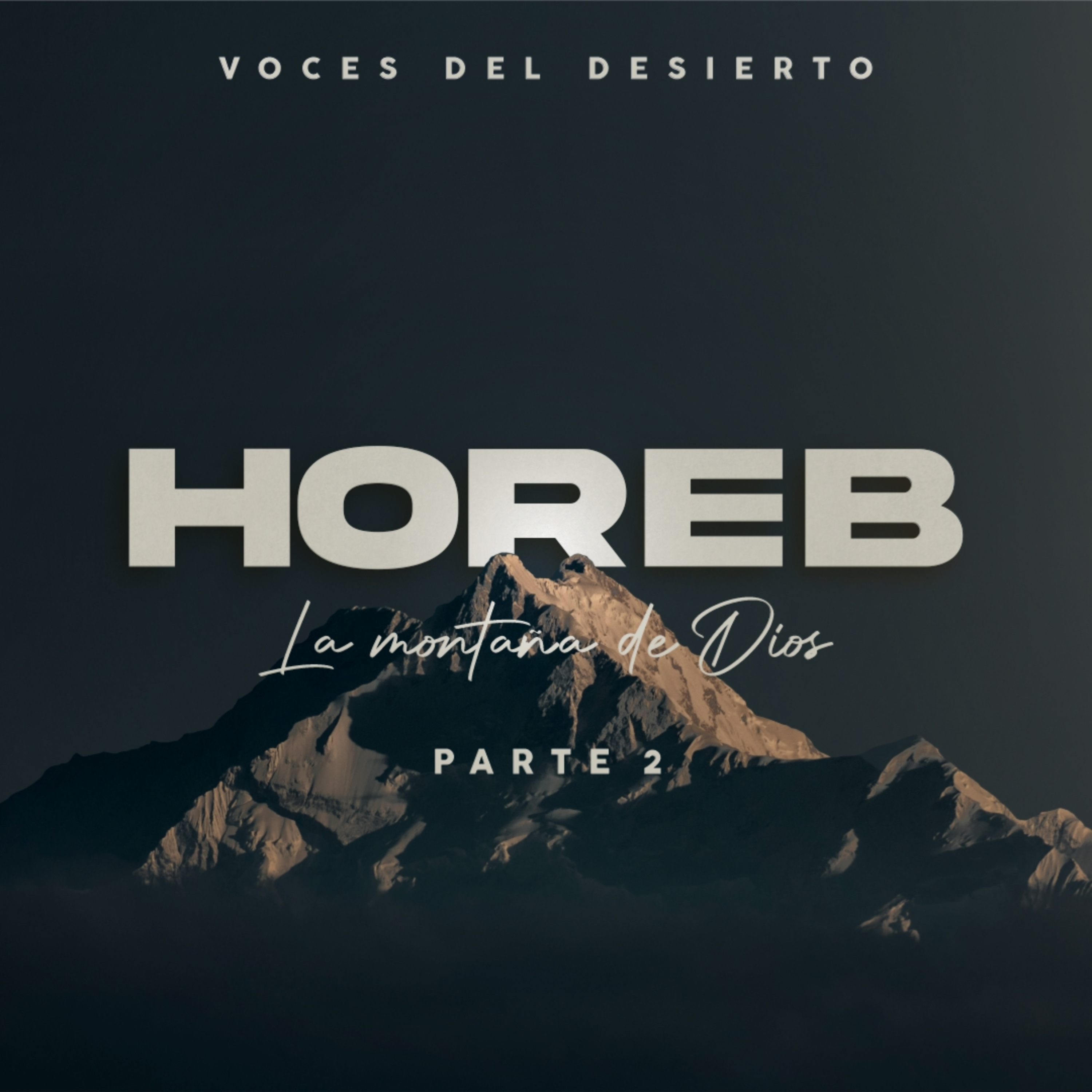 Voces del Desierto