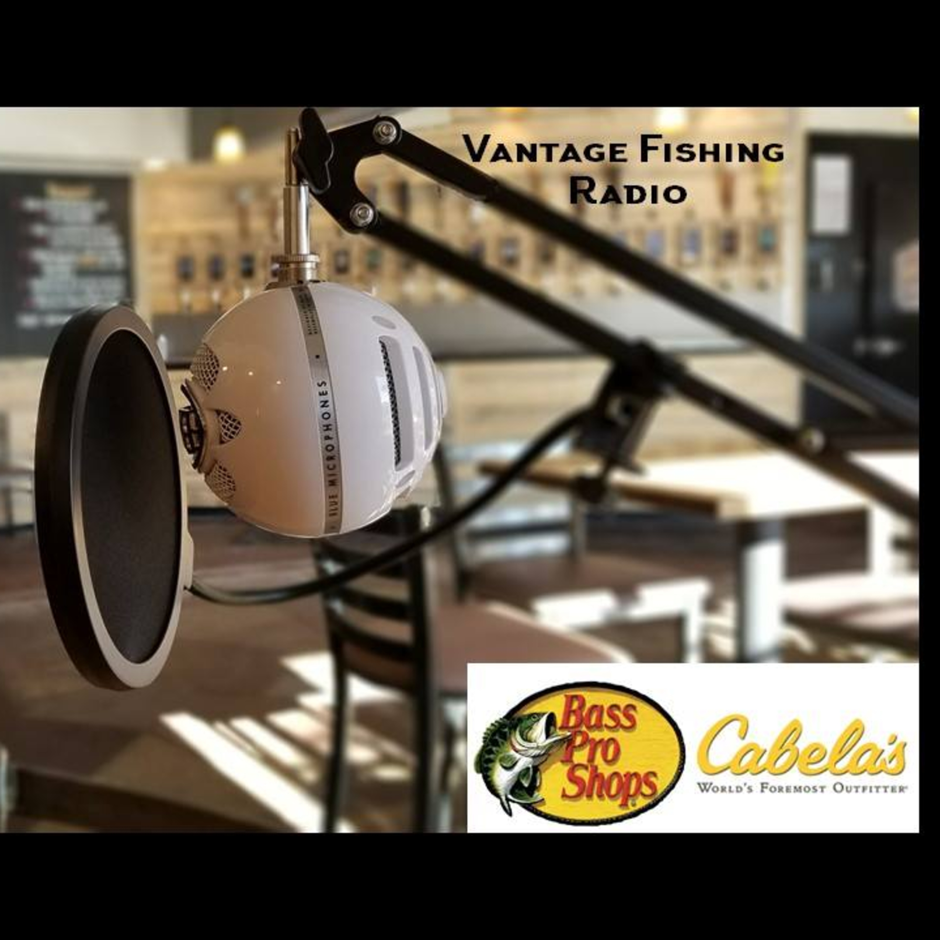 Vantage Fishing Radio