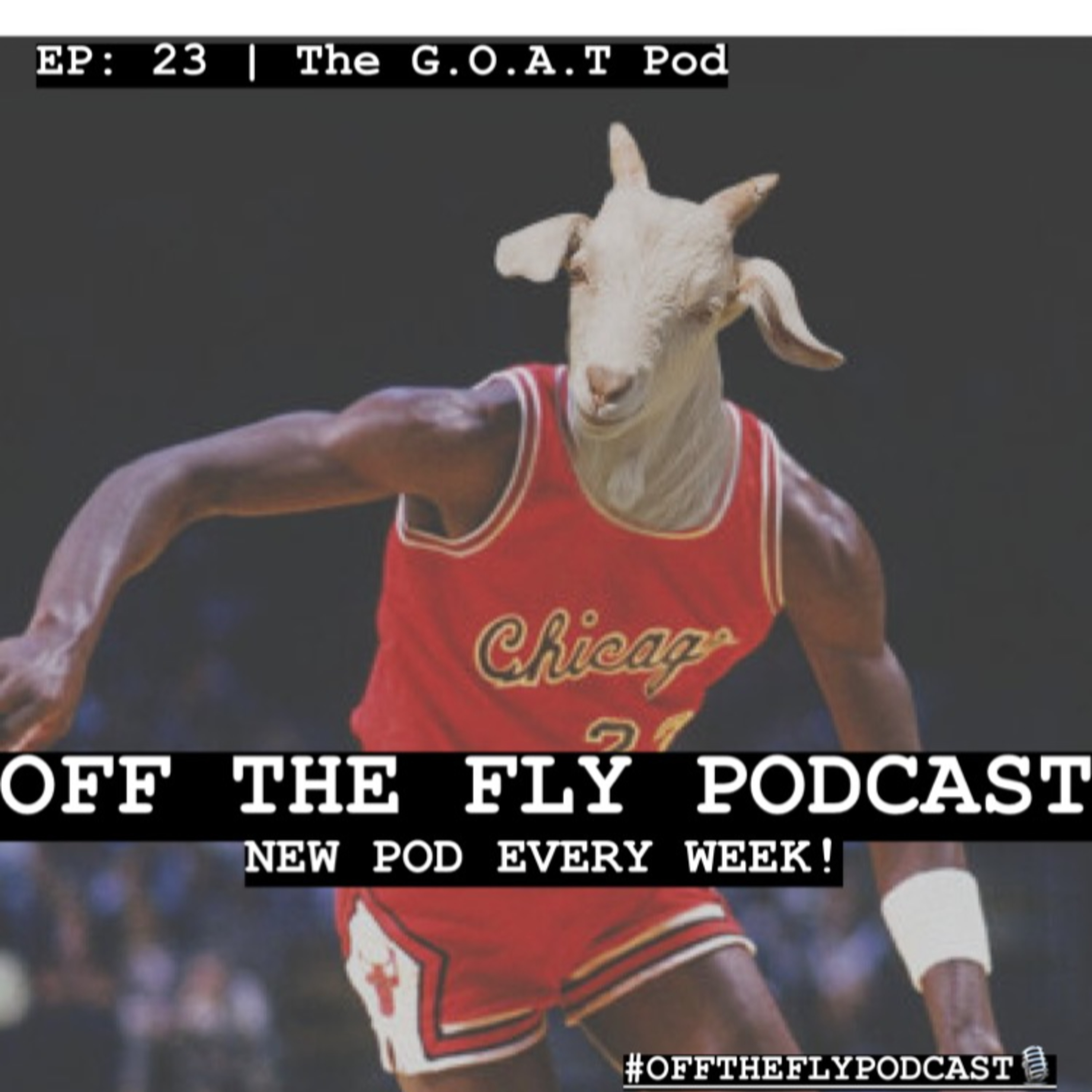 Episode 23 episode artwork