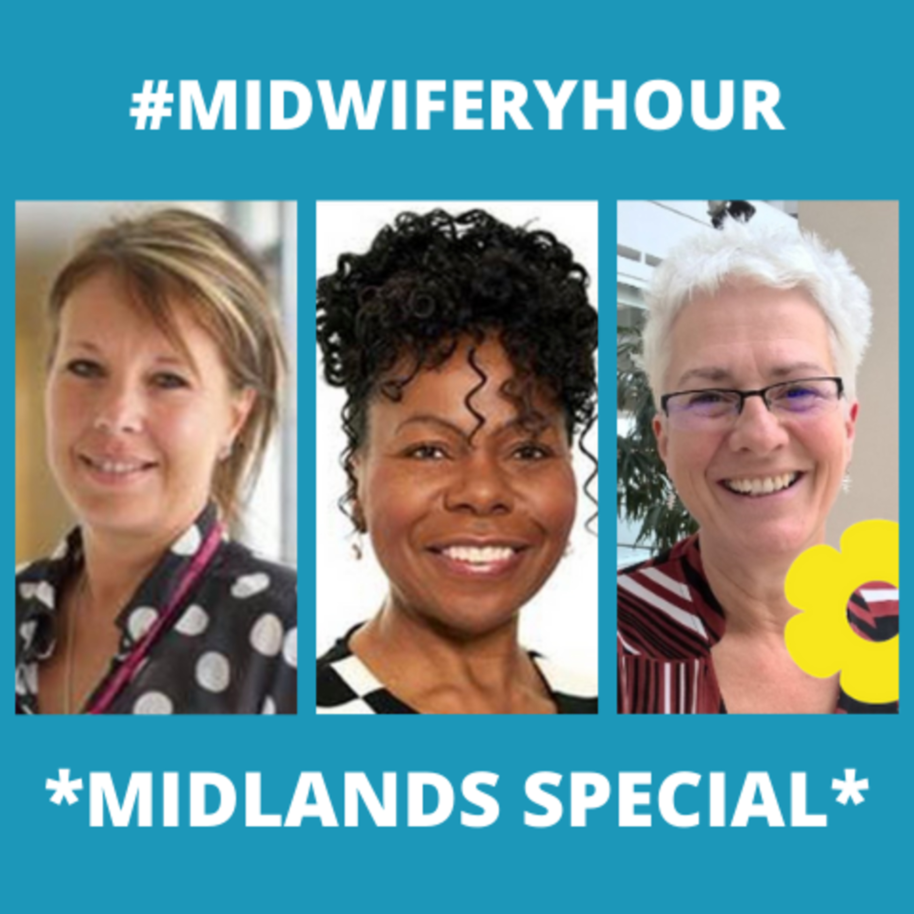 *Midlands Maternity & Midwifery Festival 2020 Special* - An Update from the Chief Midwifery Officer for England episode artwork