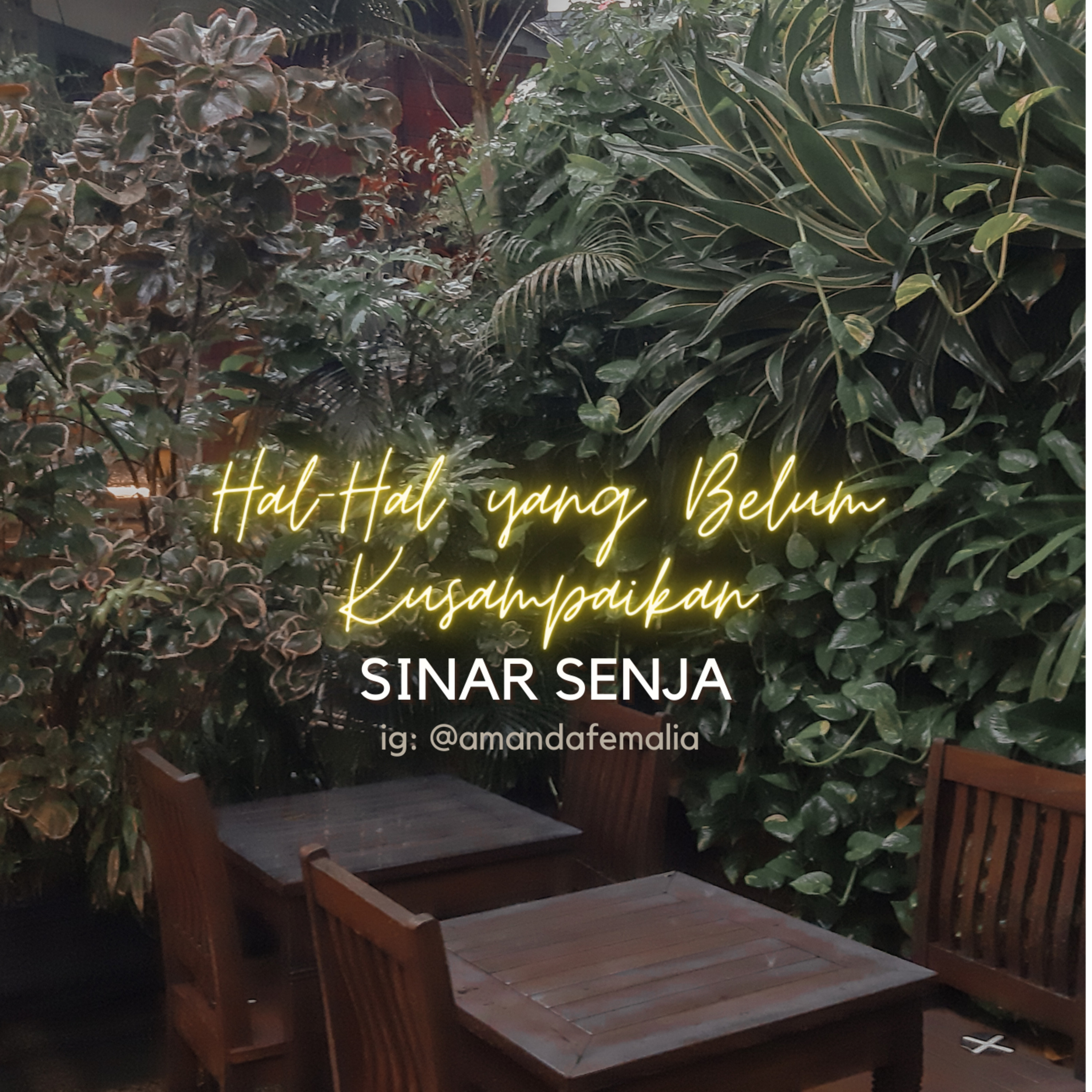 Sinar Senja