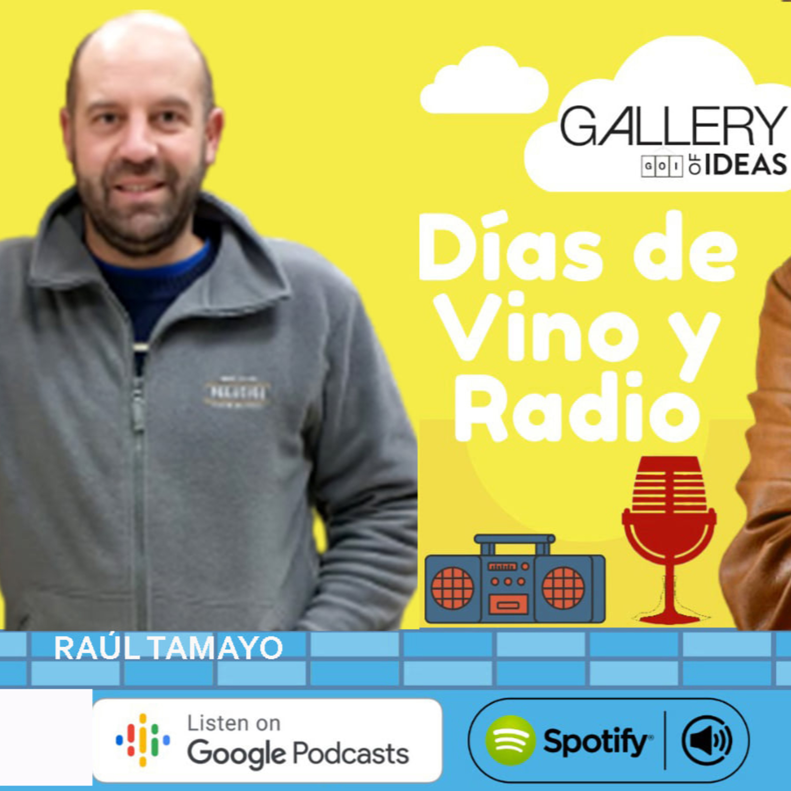 #60 Días de Vino y Radio - Entrevista con Raúl Tamayo episode artwork